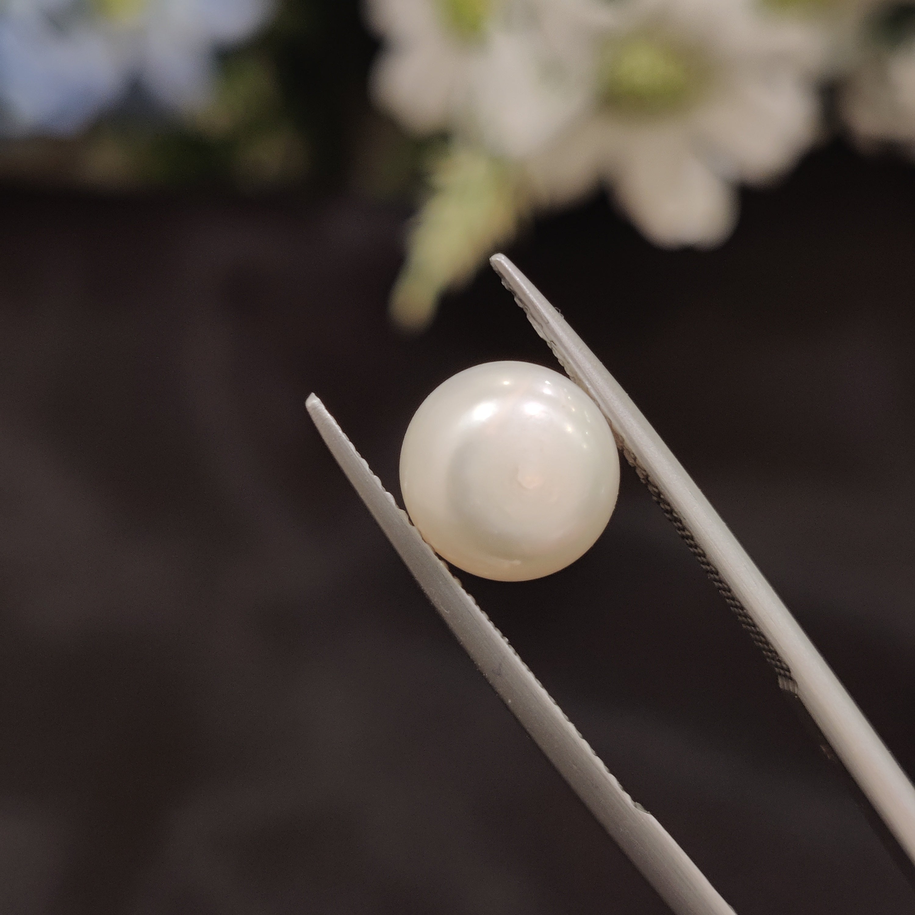 Pearl | Pearl 220 | 4.56 Carat
