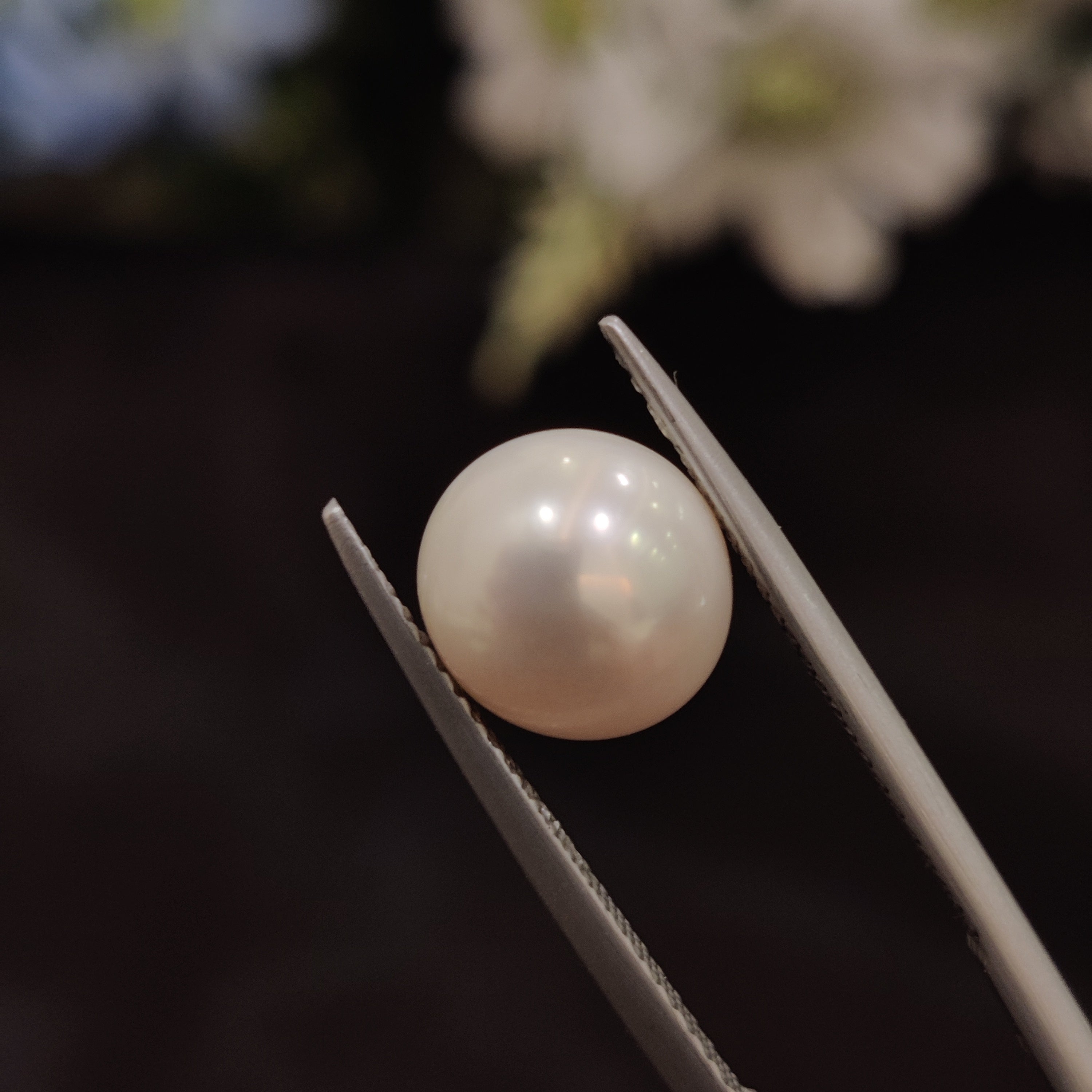 Pearl | Pearl 188 | 4.69 Carat