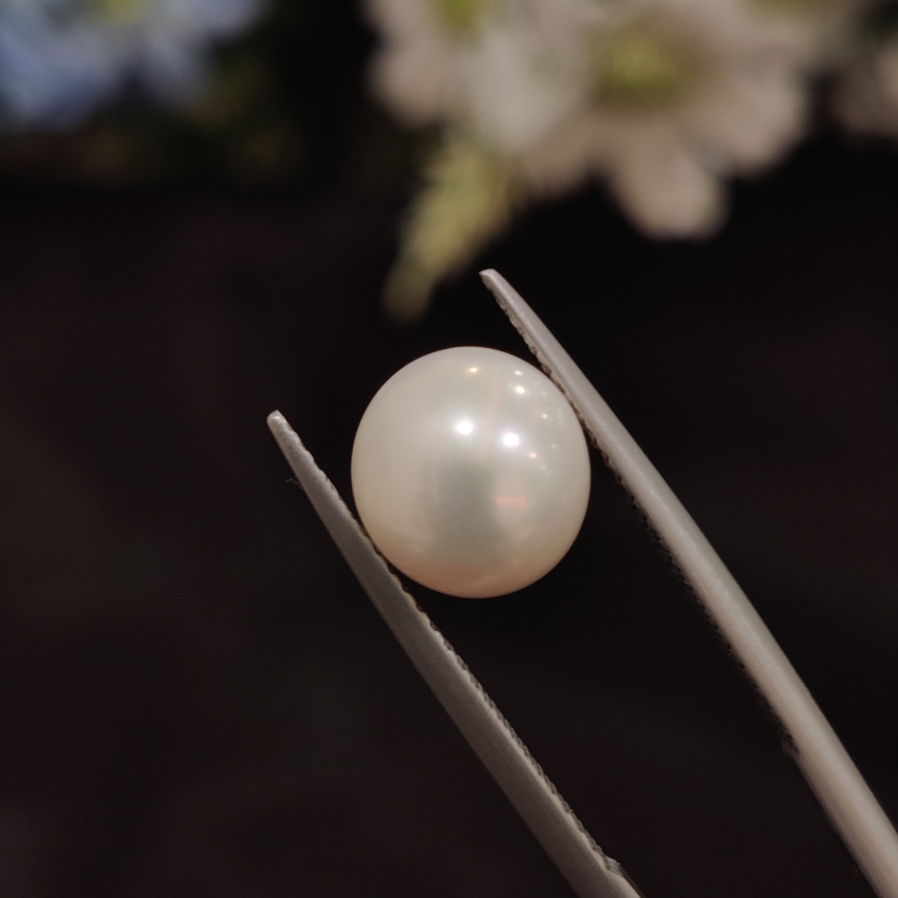 Pearl | Pearl 188 | 4.69 Carat