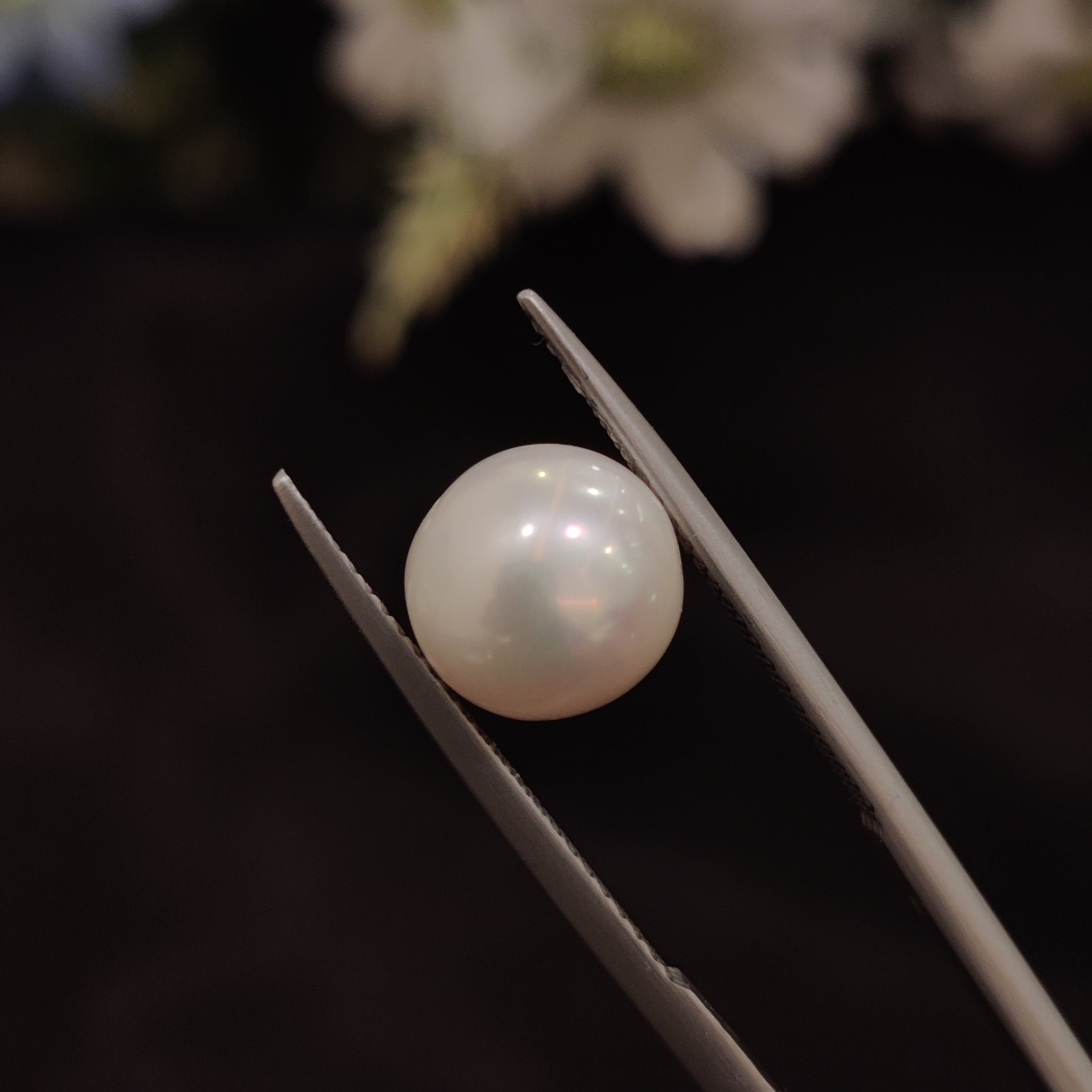 Pearl | Pearl 157 | 5 Carat