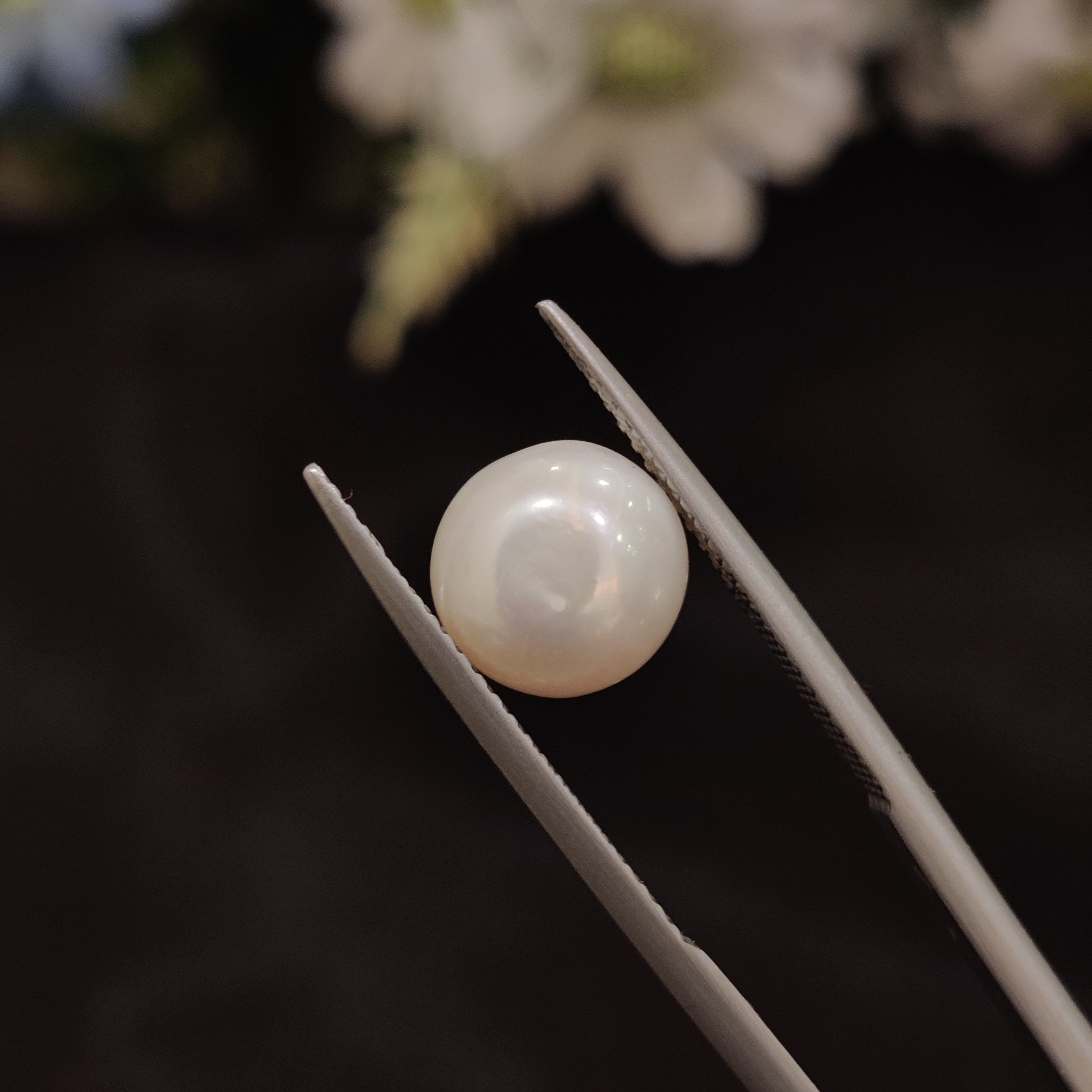 Pearl | Pearl 157 | 5 Carat