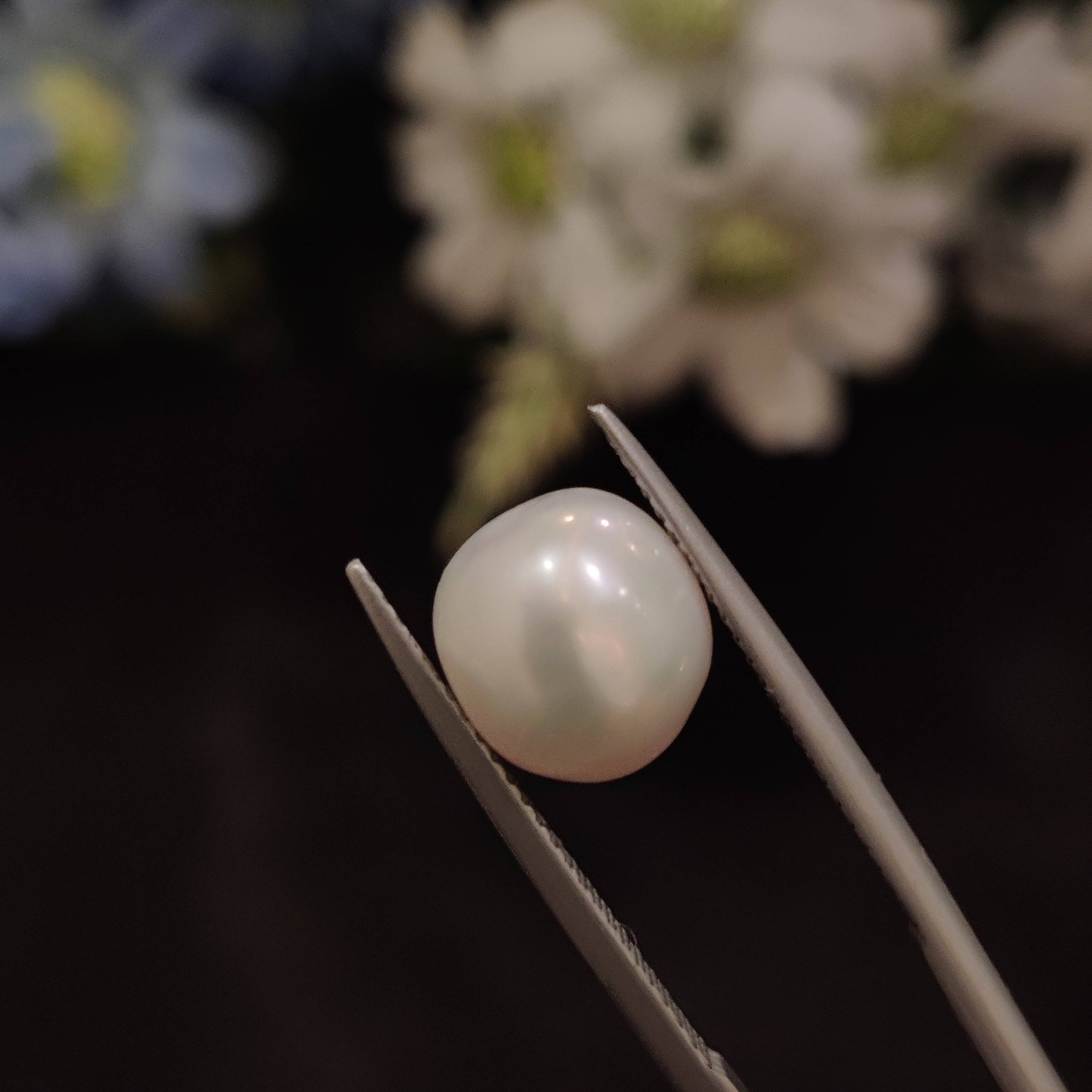 Pearl | Pearl 217 | 5.78 Carat