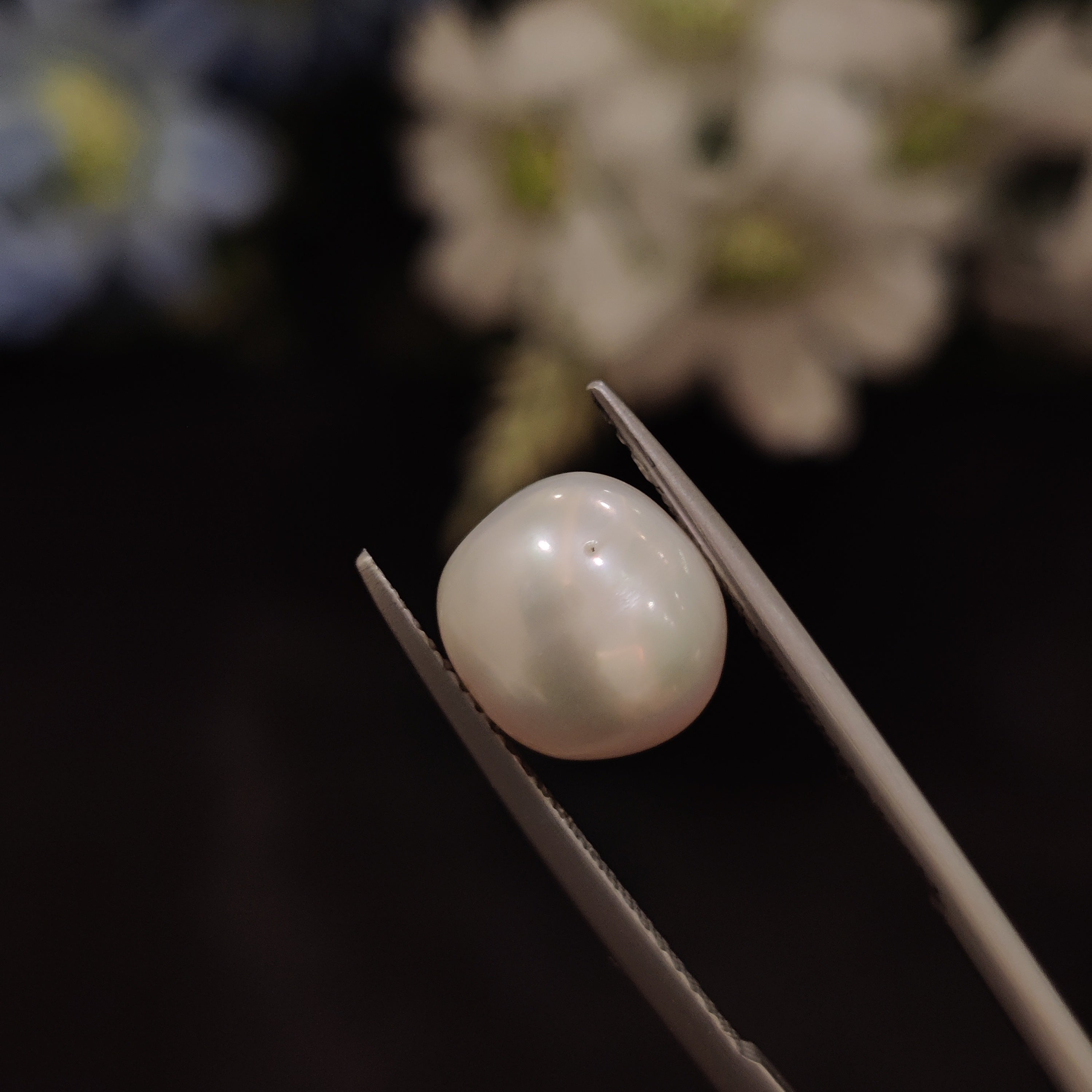 Pearl | Pearl 217 | 5.78 Carat