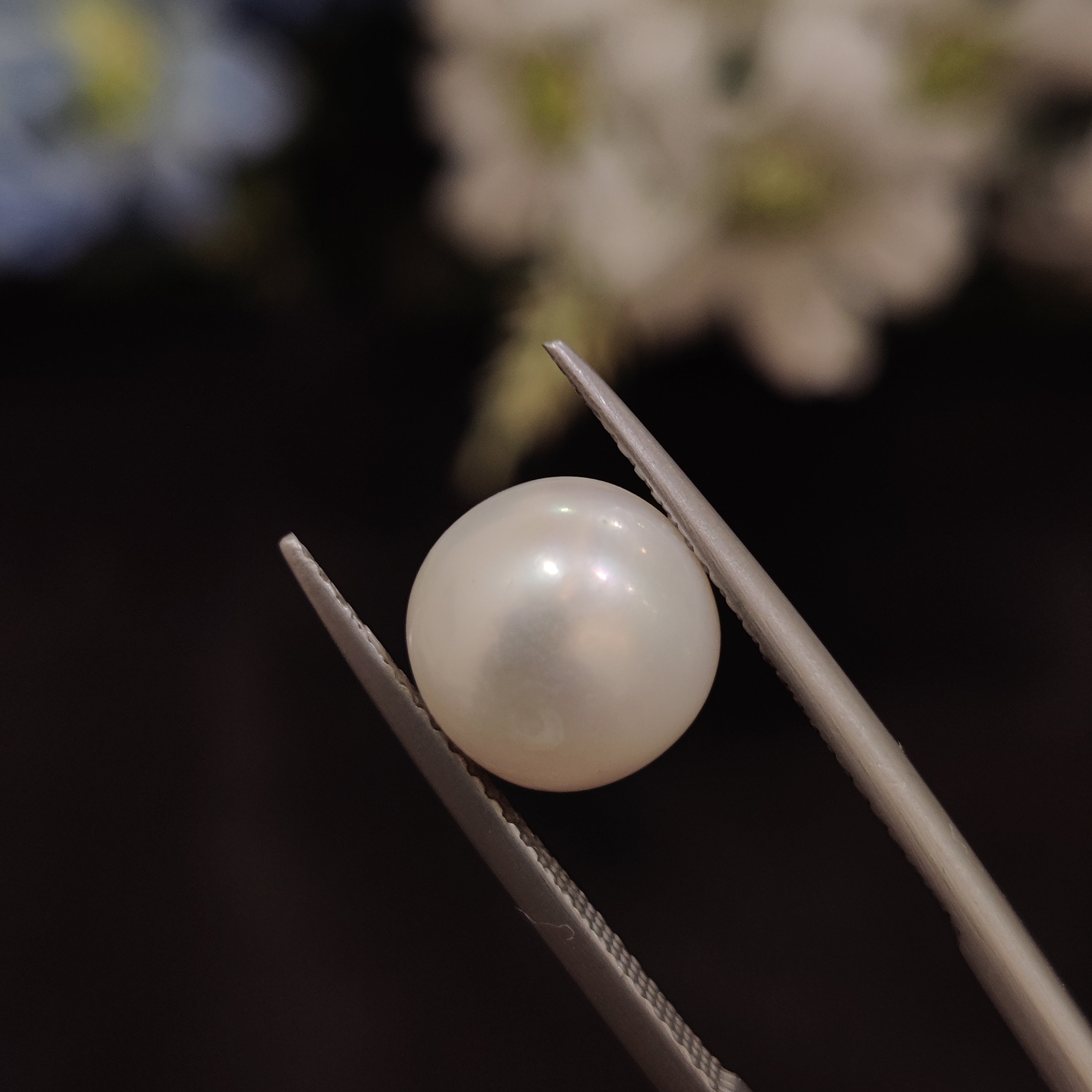 Pearl | Pearl 133 | 5.47 Carat