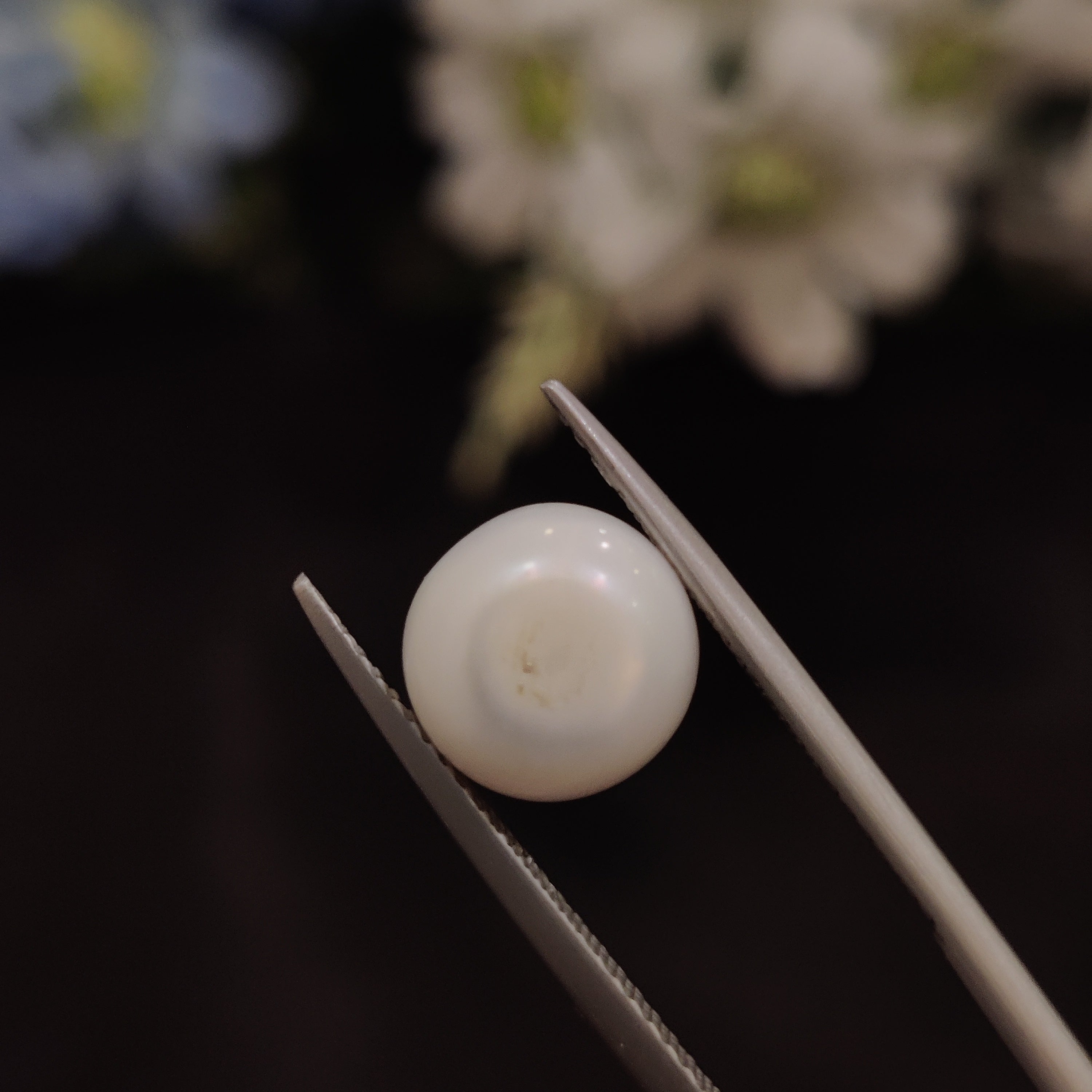 Pearl | Pearl 133 | 5.47 Carat