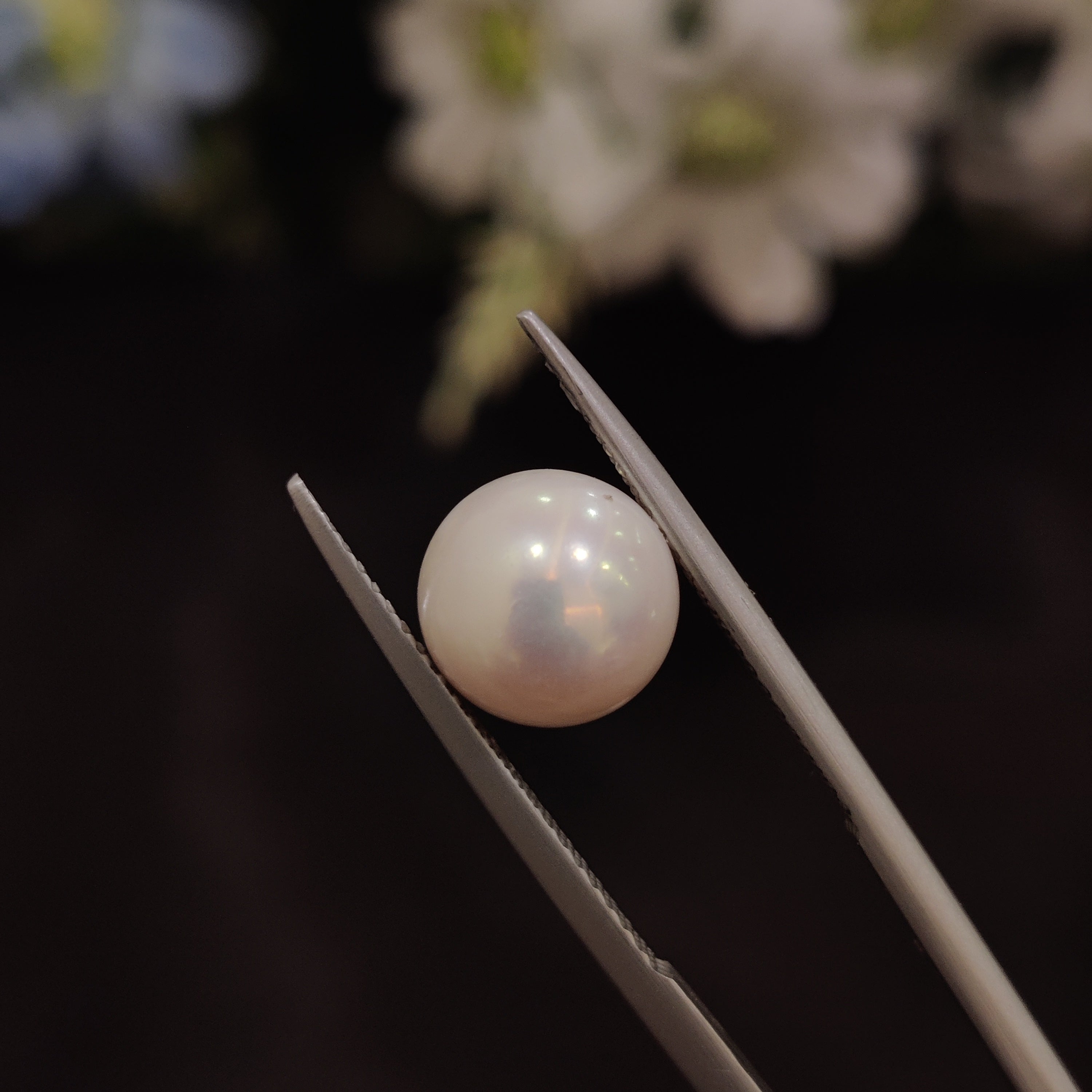 Pearl | Pearl 153 | 5.35 Carat