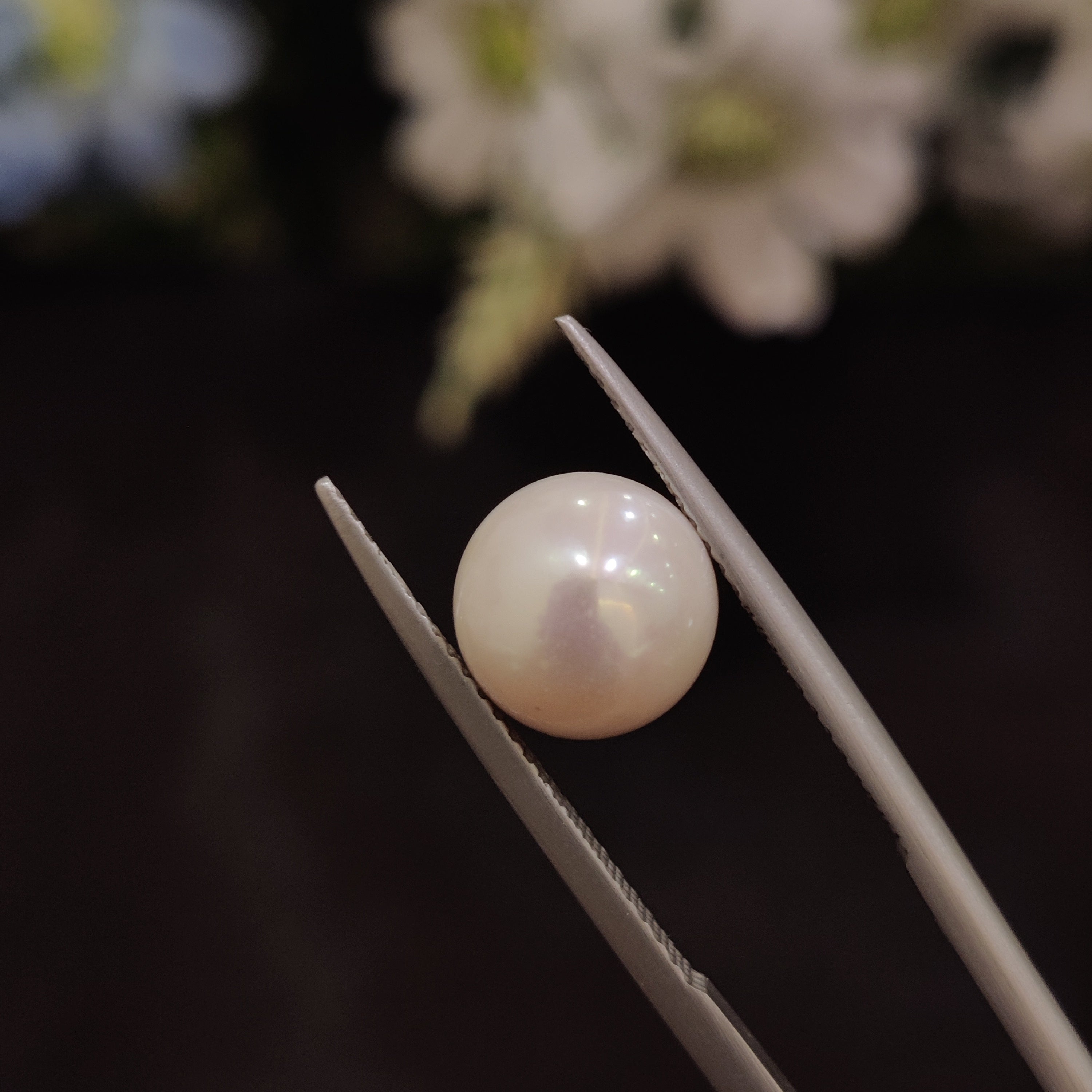 Pearl | Pearl 153 | 5.35 Carat