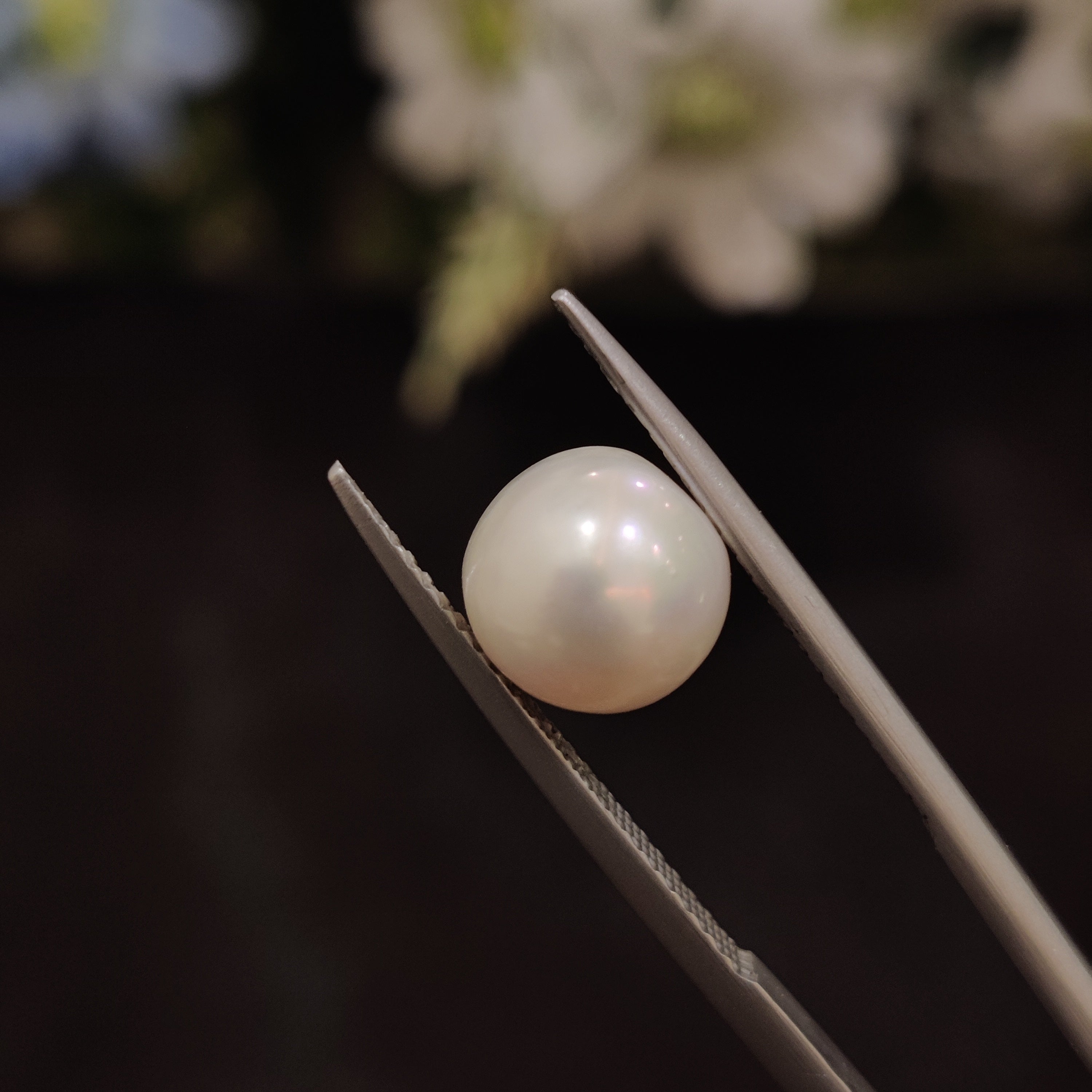 Pearl | Pearl 198 | 4.39 Carat