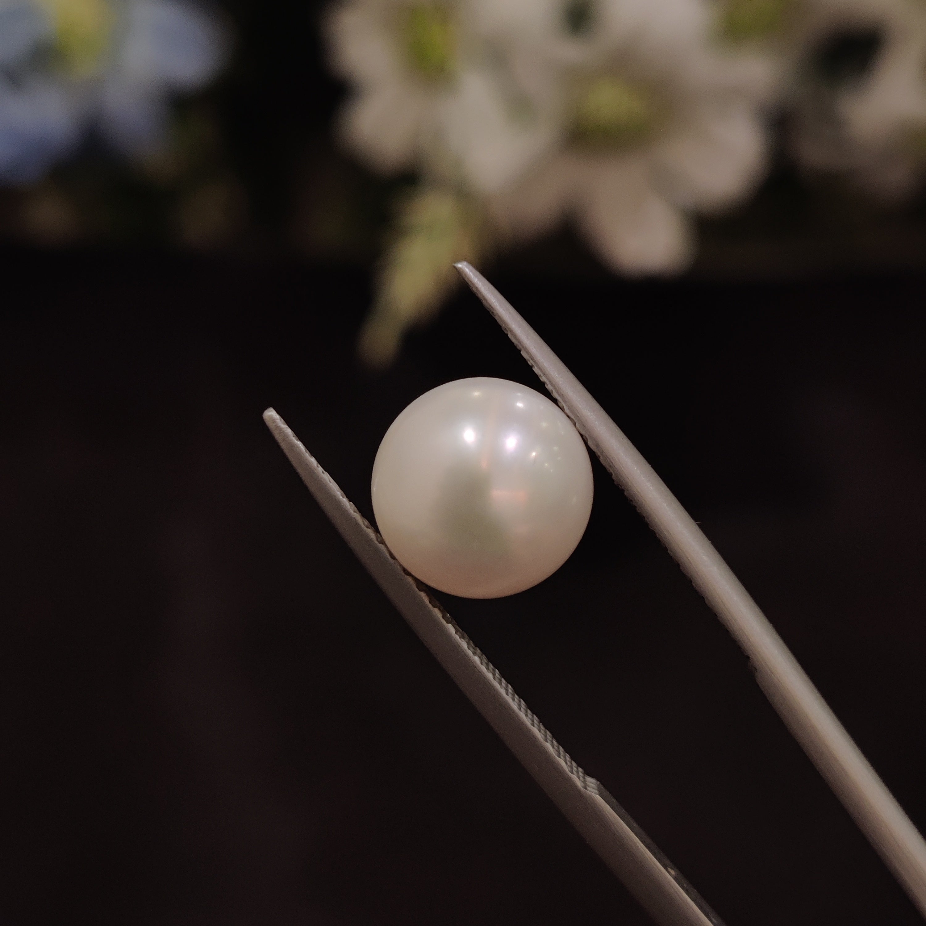 Pearl | Pearl 156 | 5.38 Carat