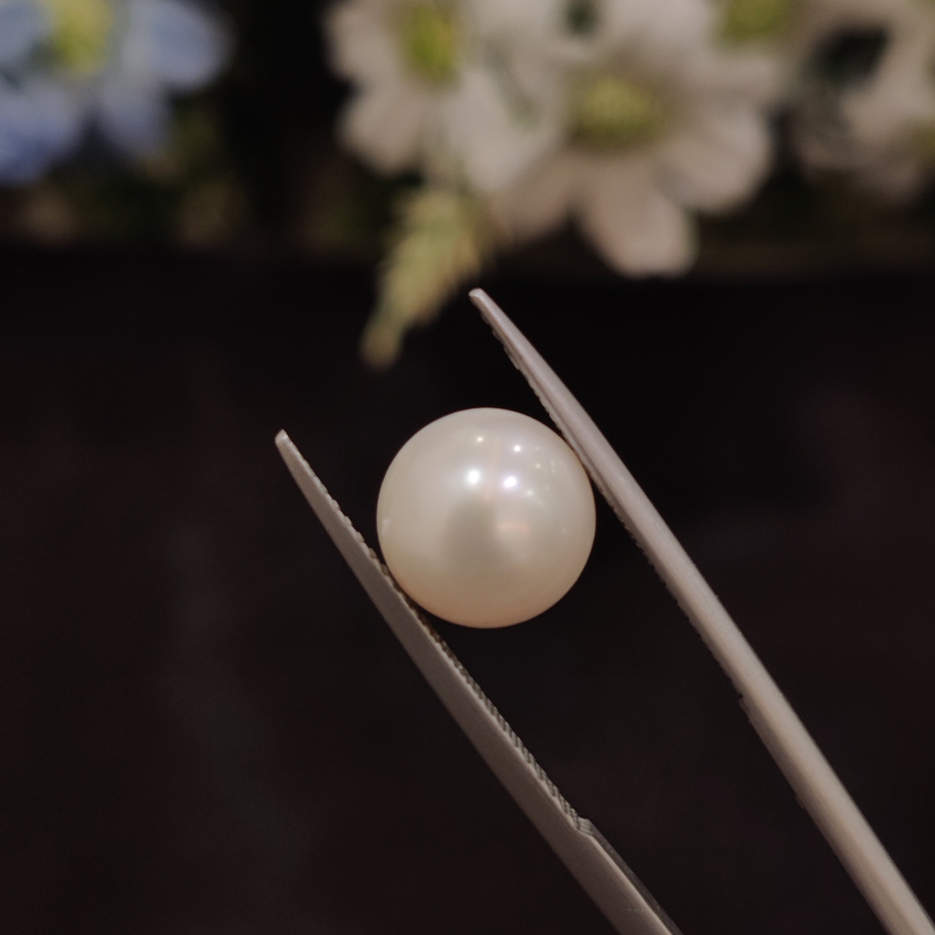 Pearl | Pearl 156 | 5.38 Carat