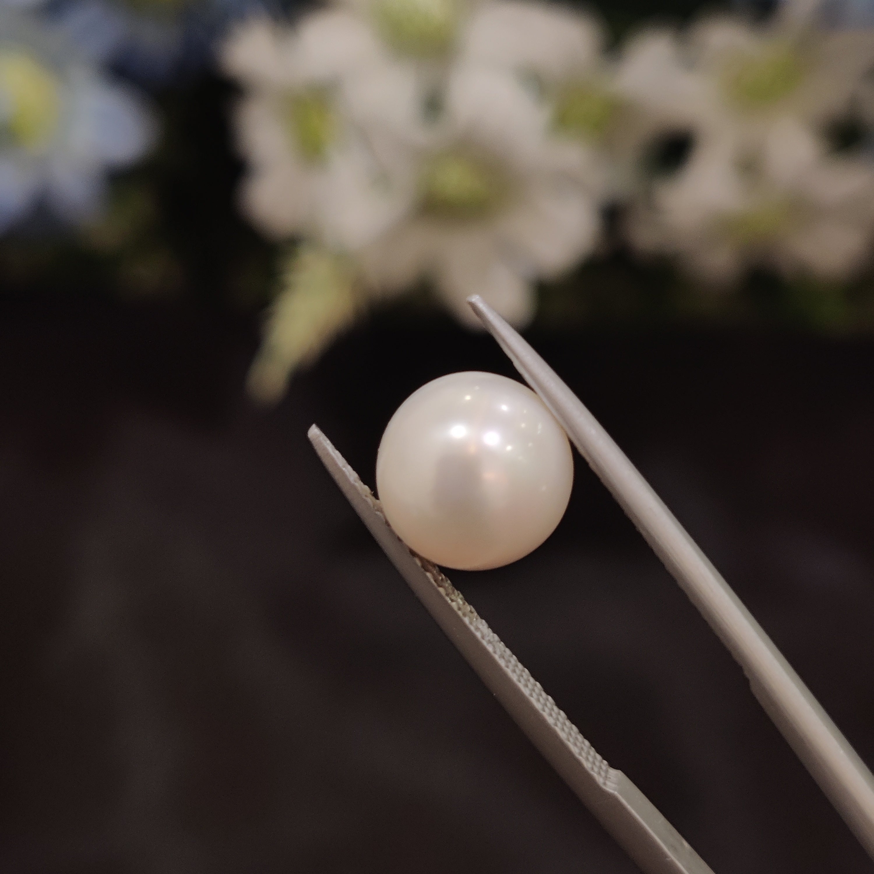 Pearl | Pearl 149 | 5.3 Carat