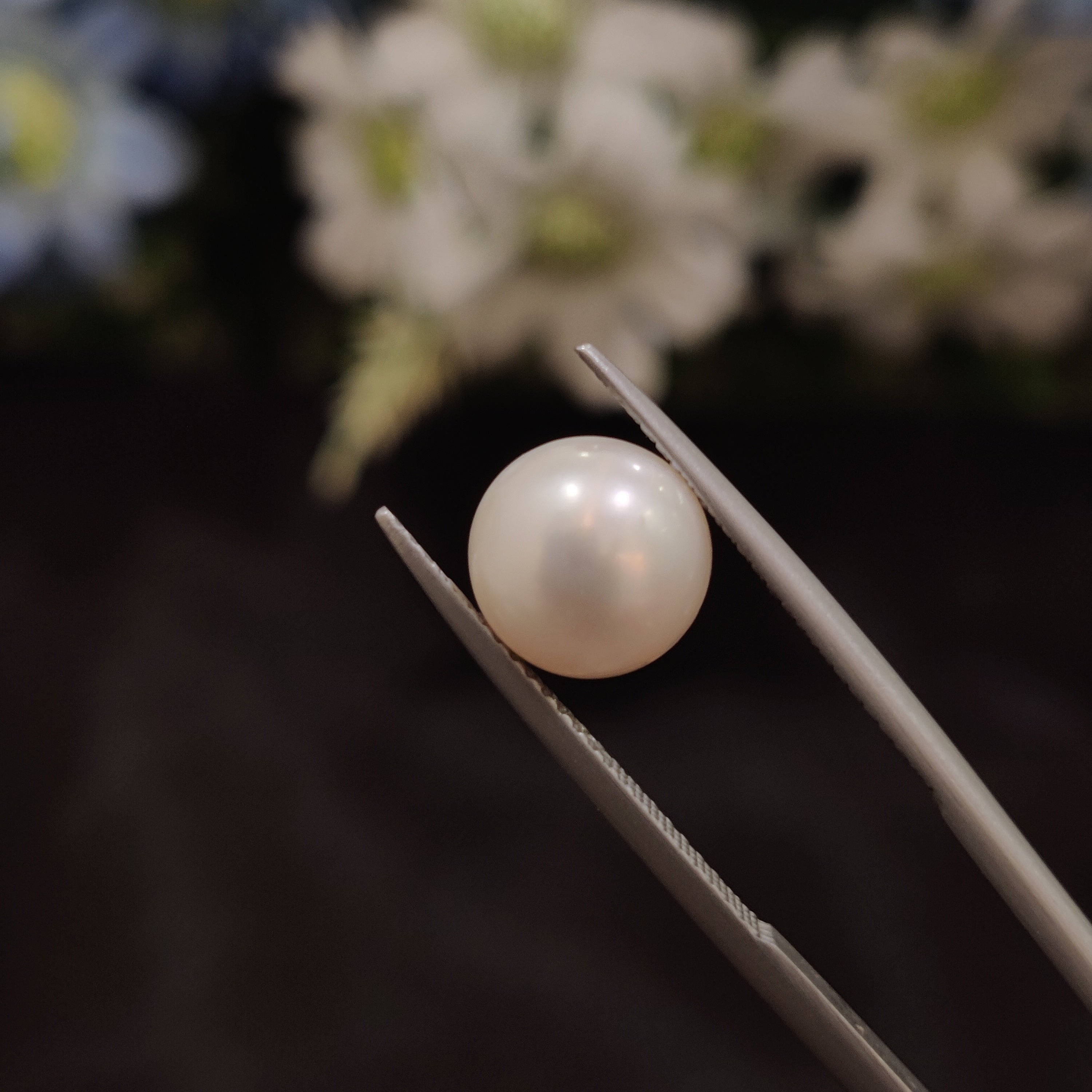 Pearl | Pearl 149 | 5.3 Carat