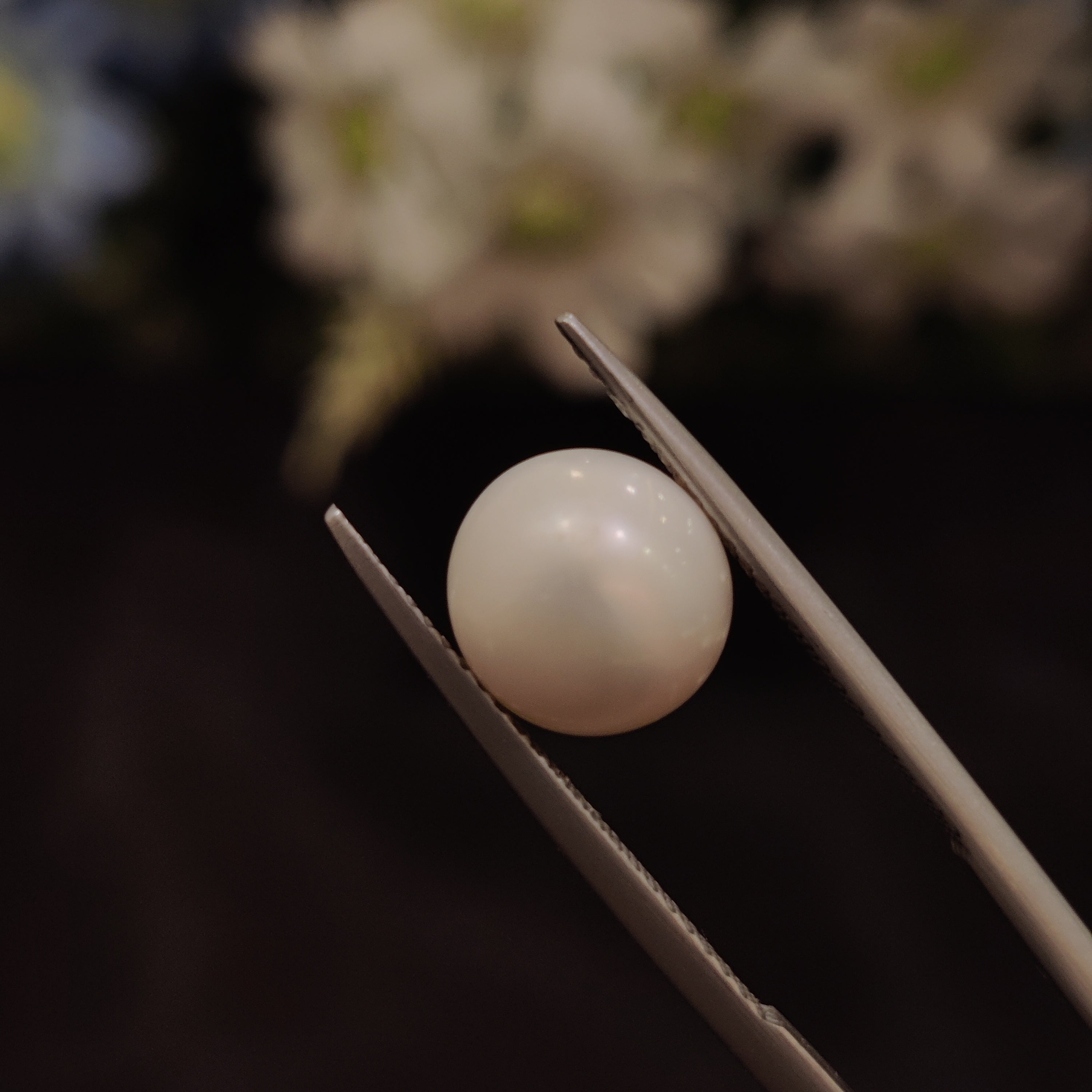 Pearl | Pearl 151 | 4.74 Carat