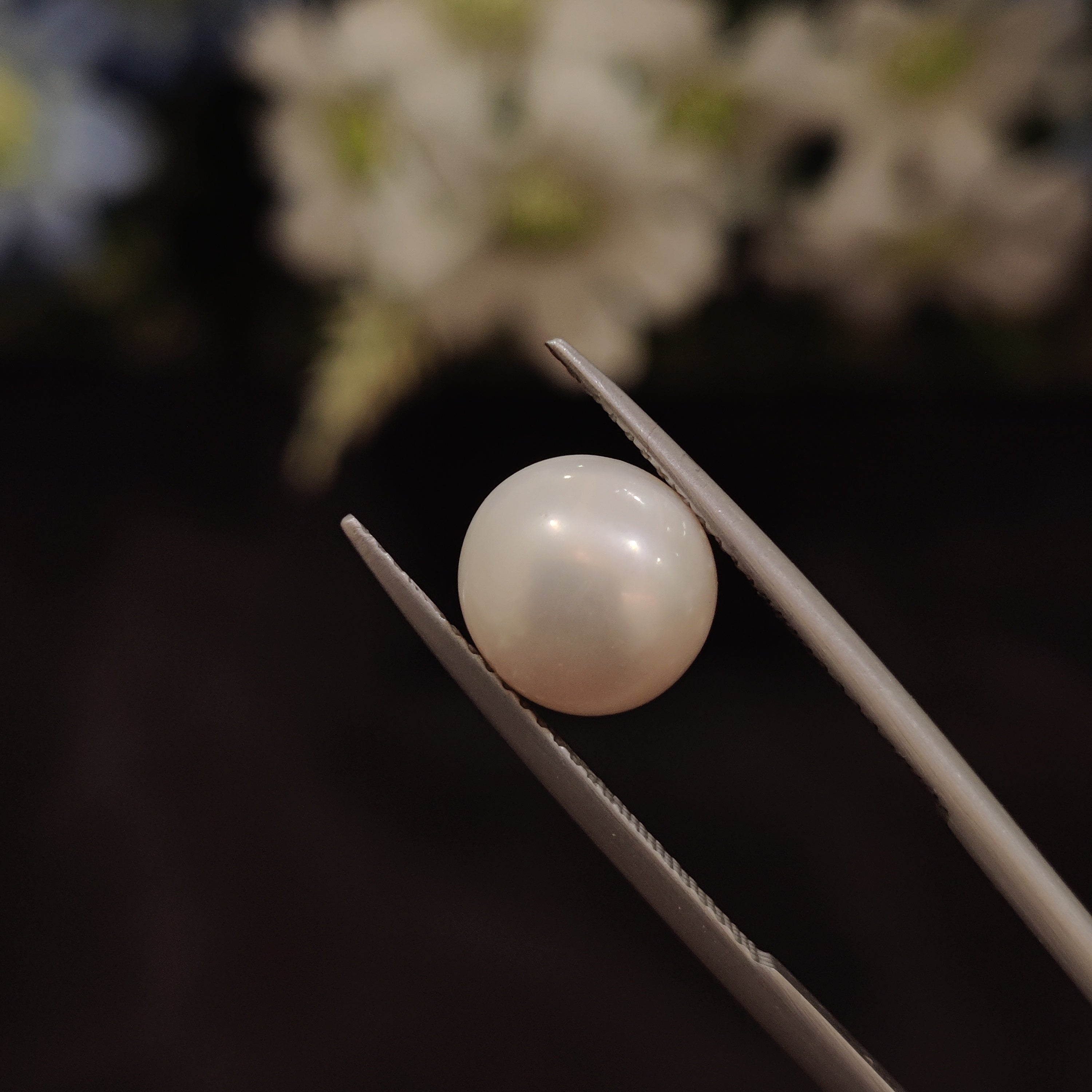 Pearl | Pearl 151 | 4.74 Carat