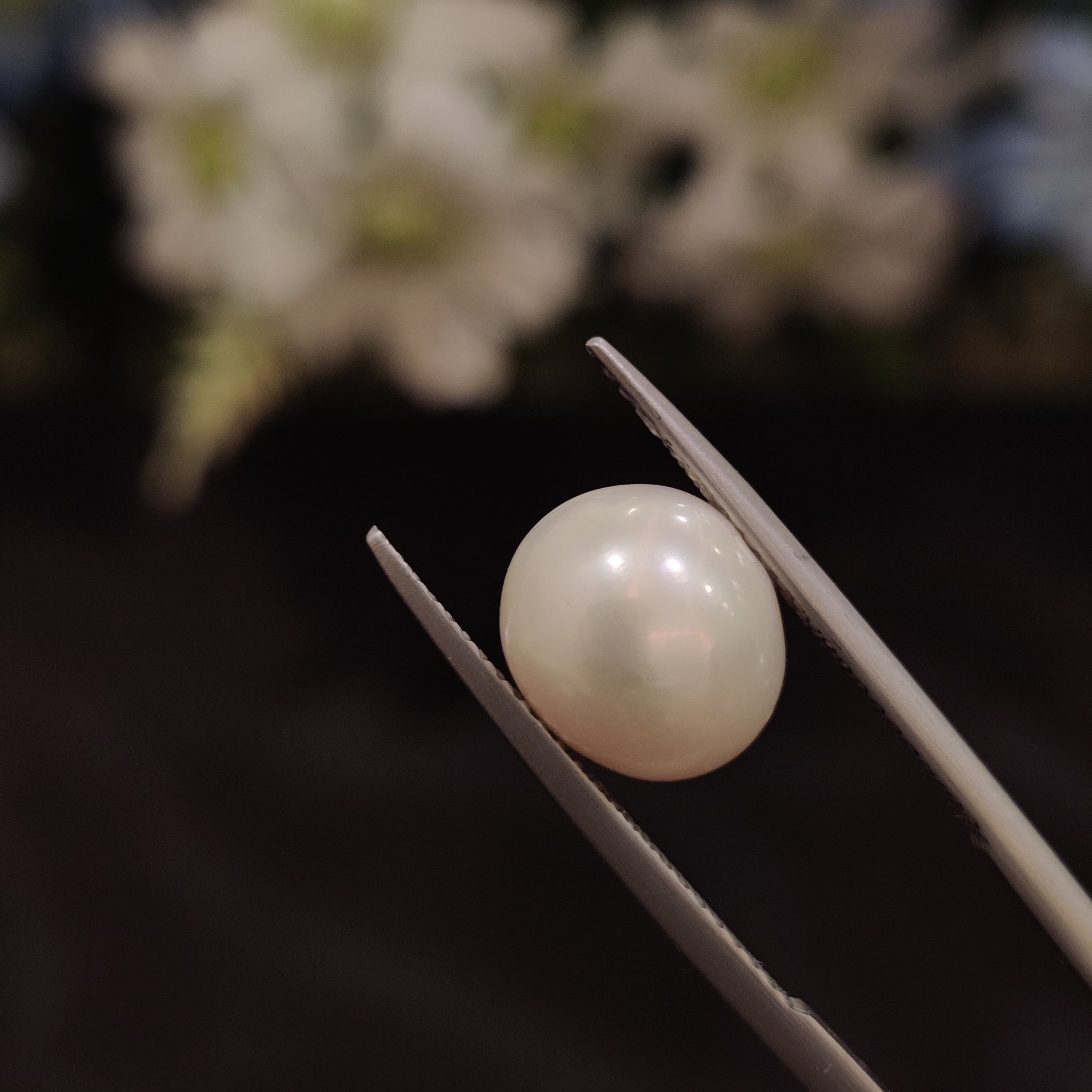 Pearl | Pearl 143 | 5.76 Carat