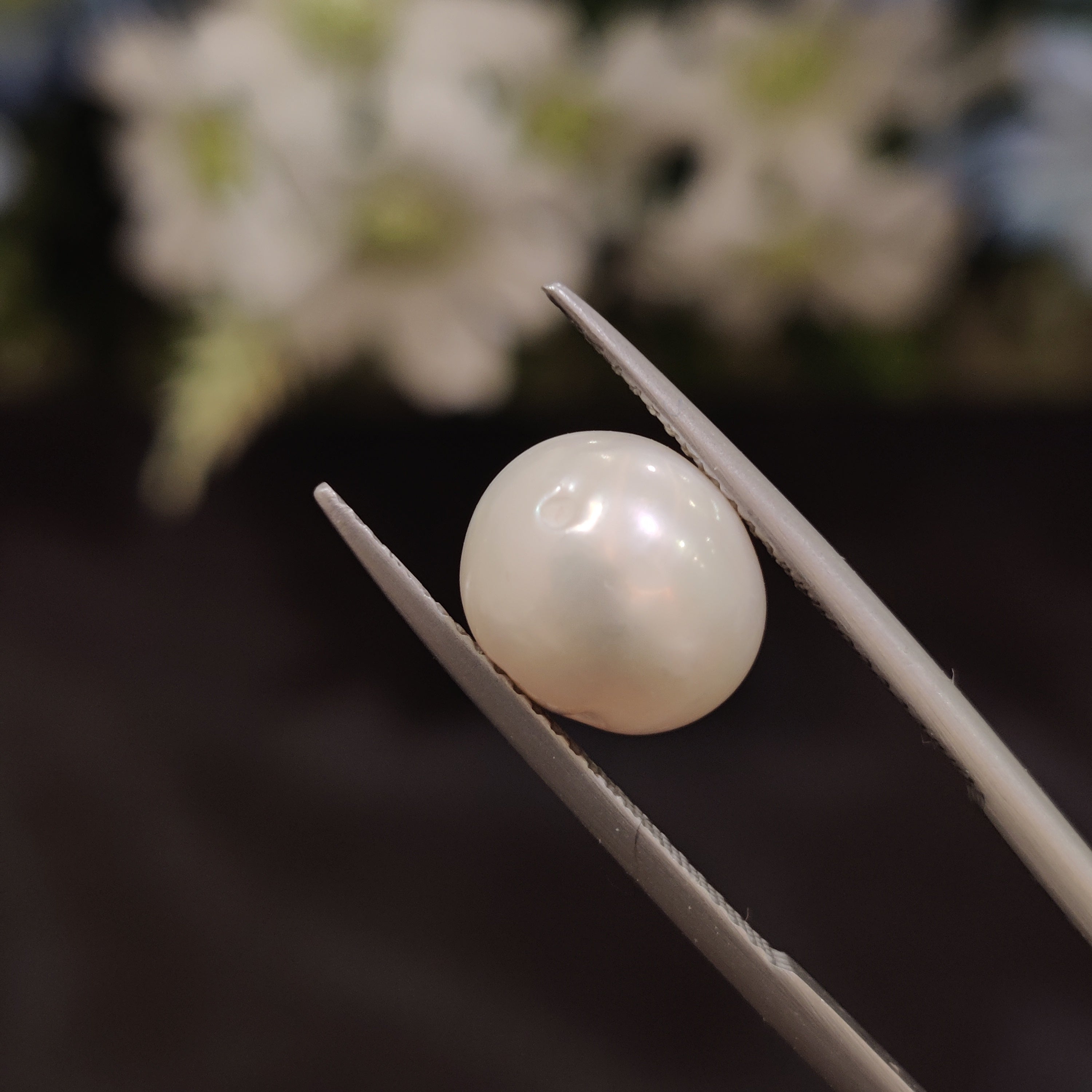 Pearl | Pearl 143 | 5.76 Carat