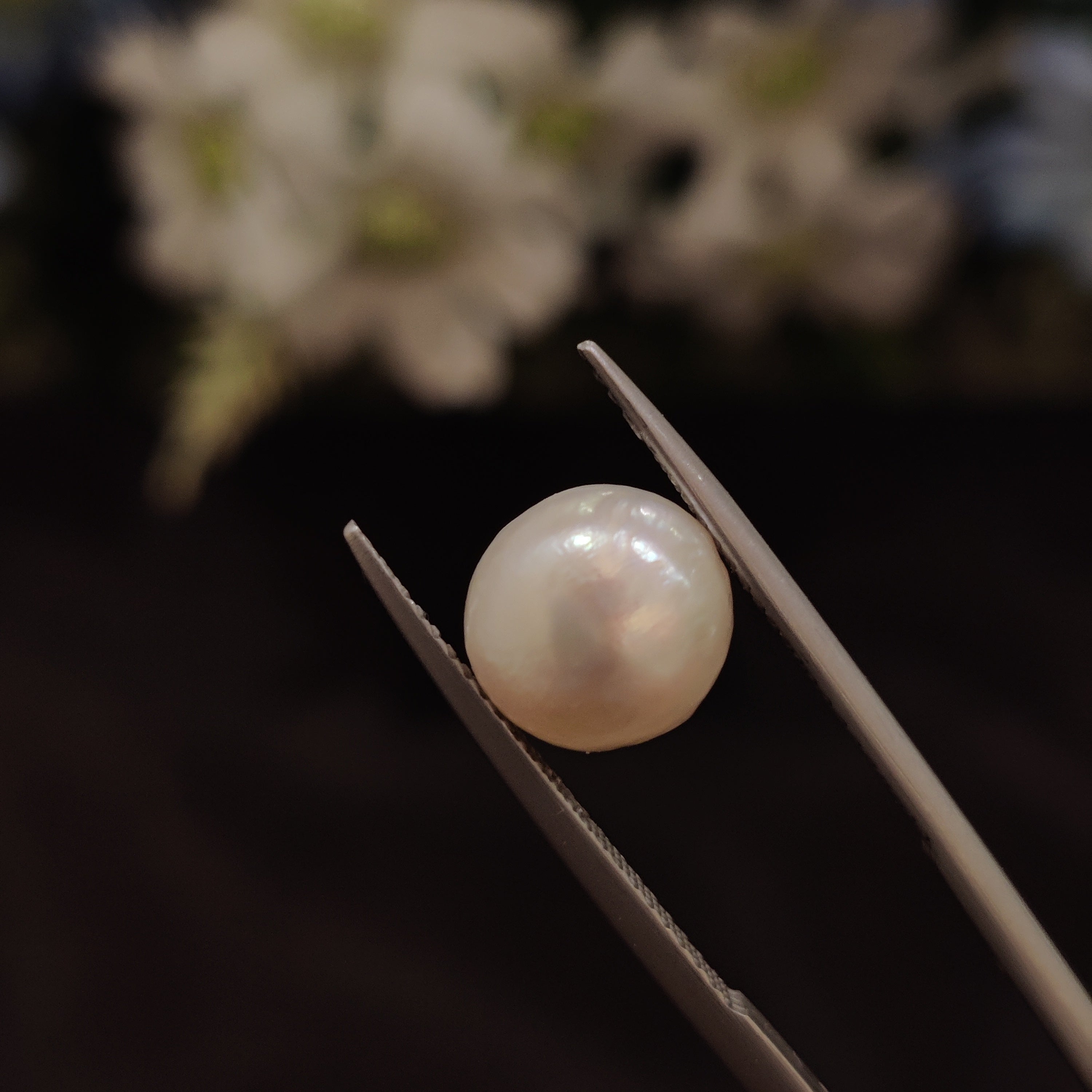 Pearl | Pearl 137 | 4.75 Carat