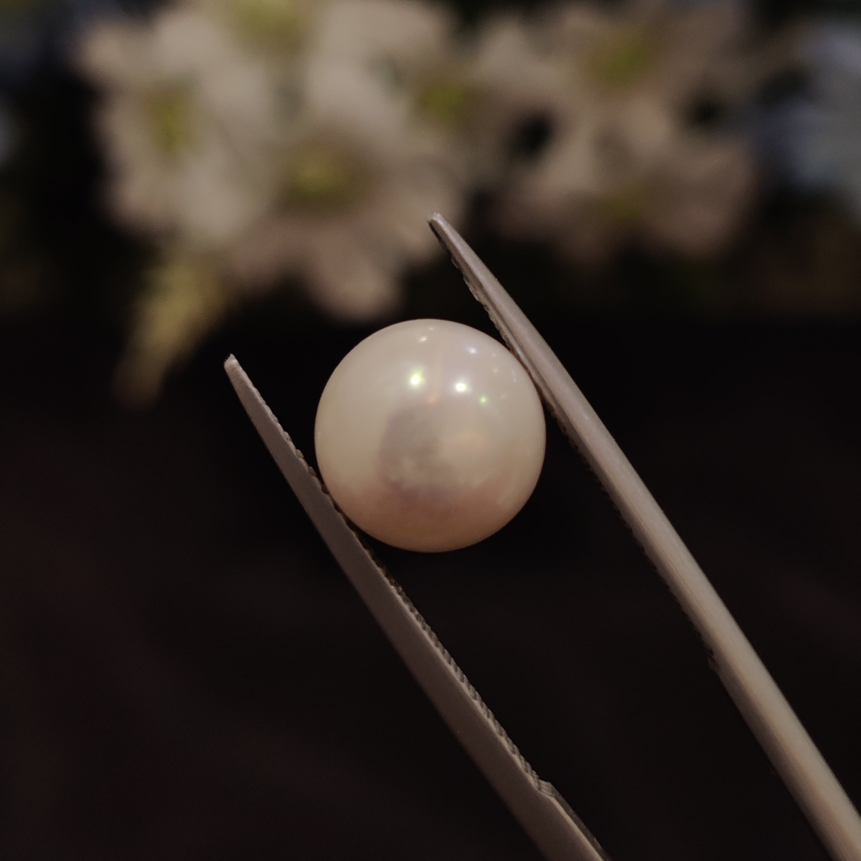 Pearl | Pearl 138 | 5.41 Carat
