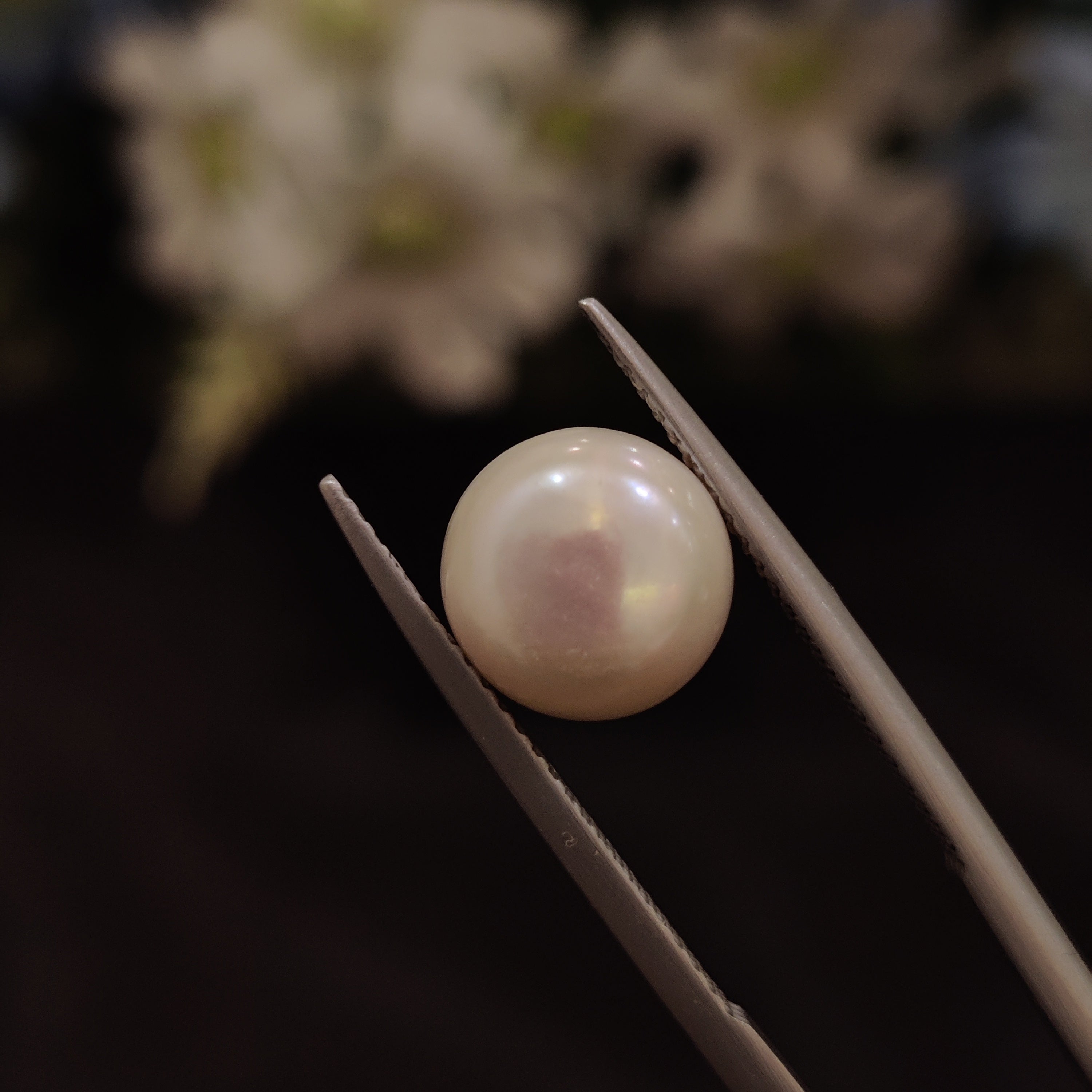 Pearl | Pearl 138 | 5.41 Carat