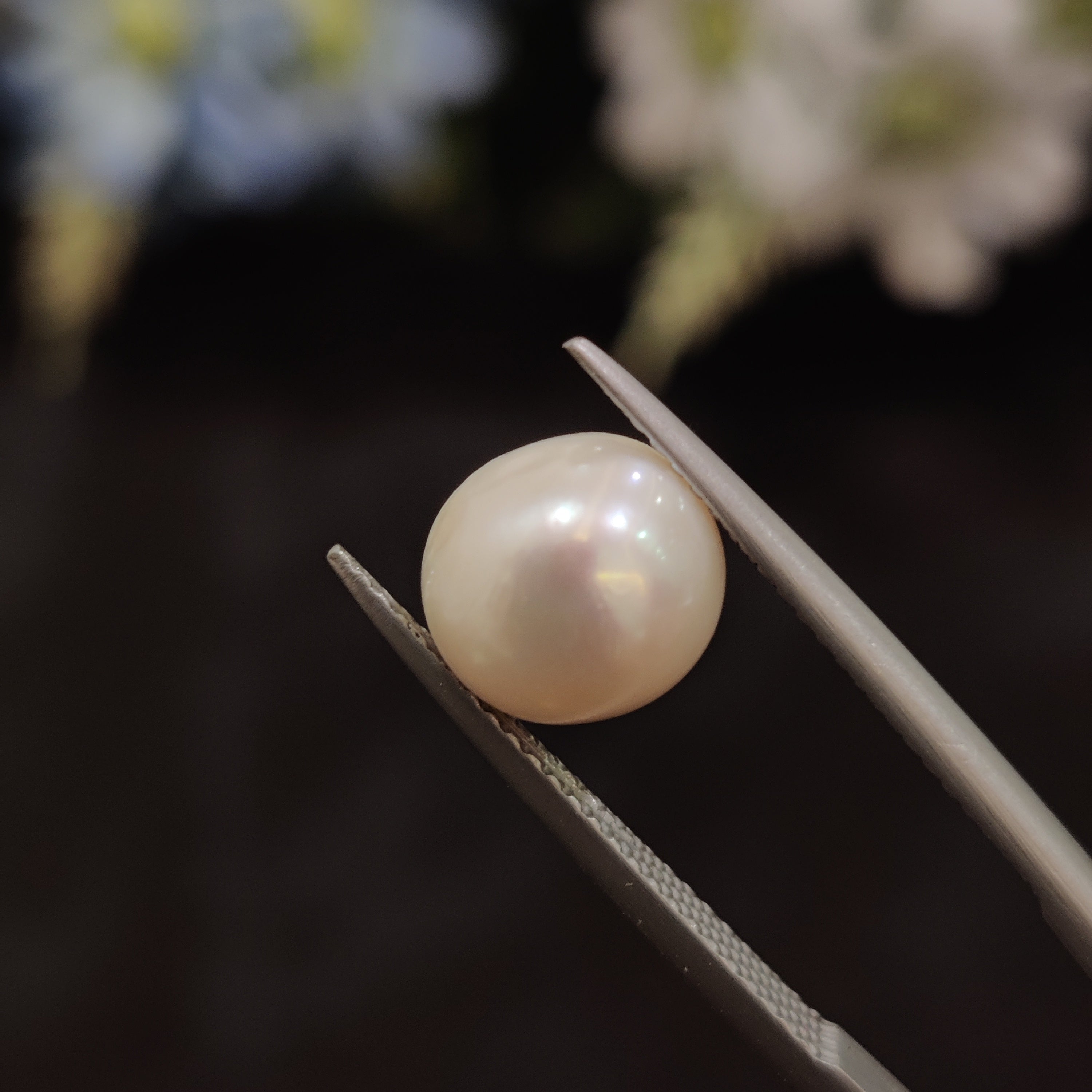 Pearl | Pearl 161 | 4.85 Carat