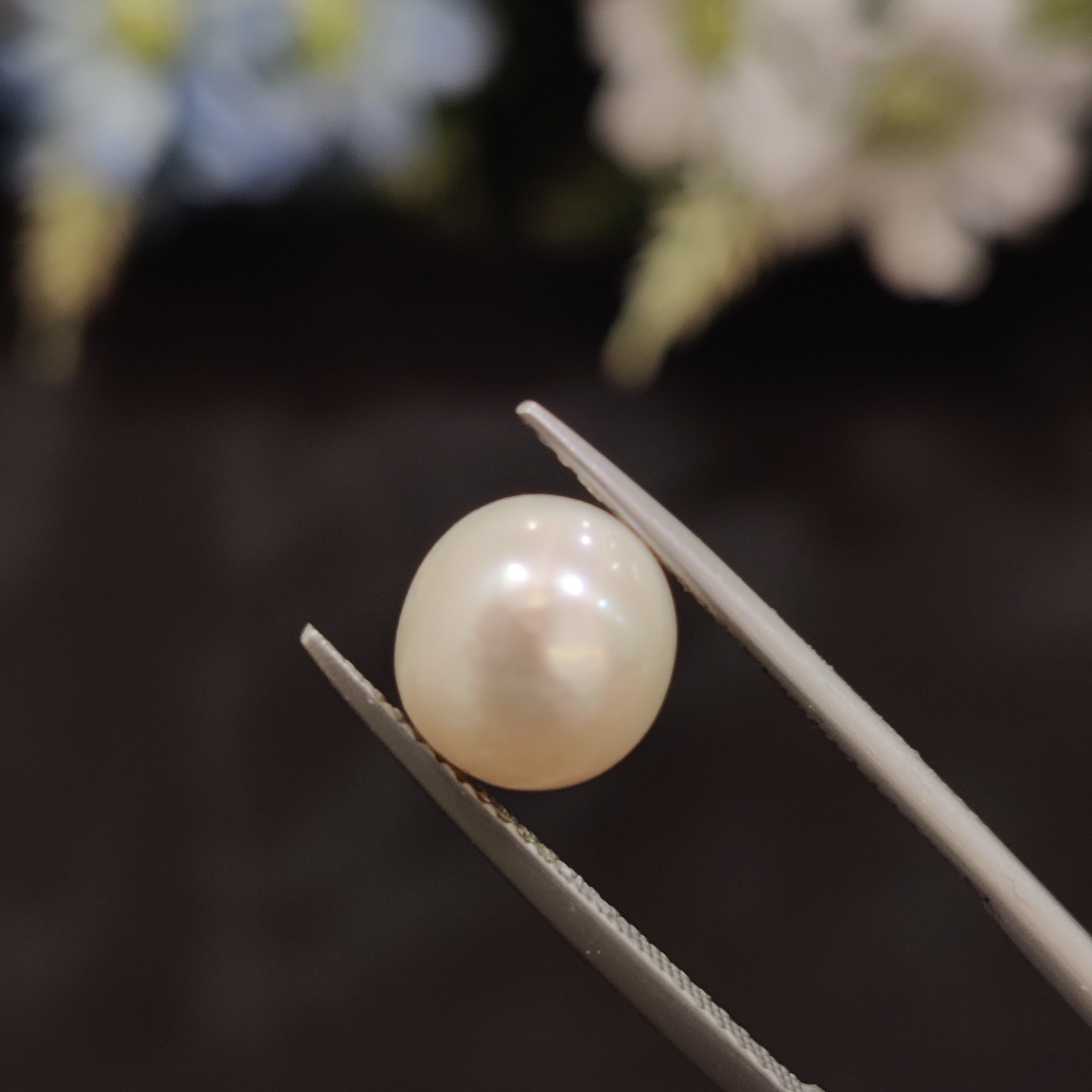 Pearl | Pearl 161 | 4.85 Carat