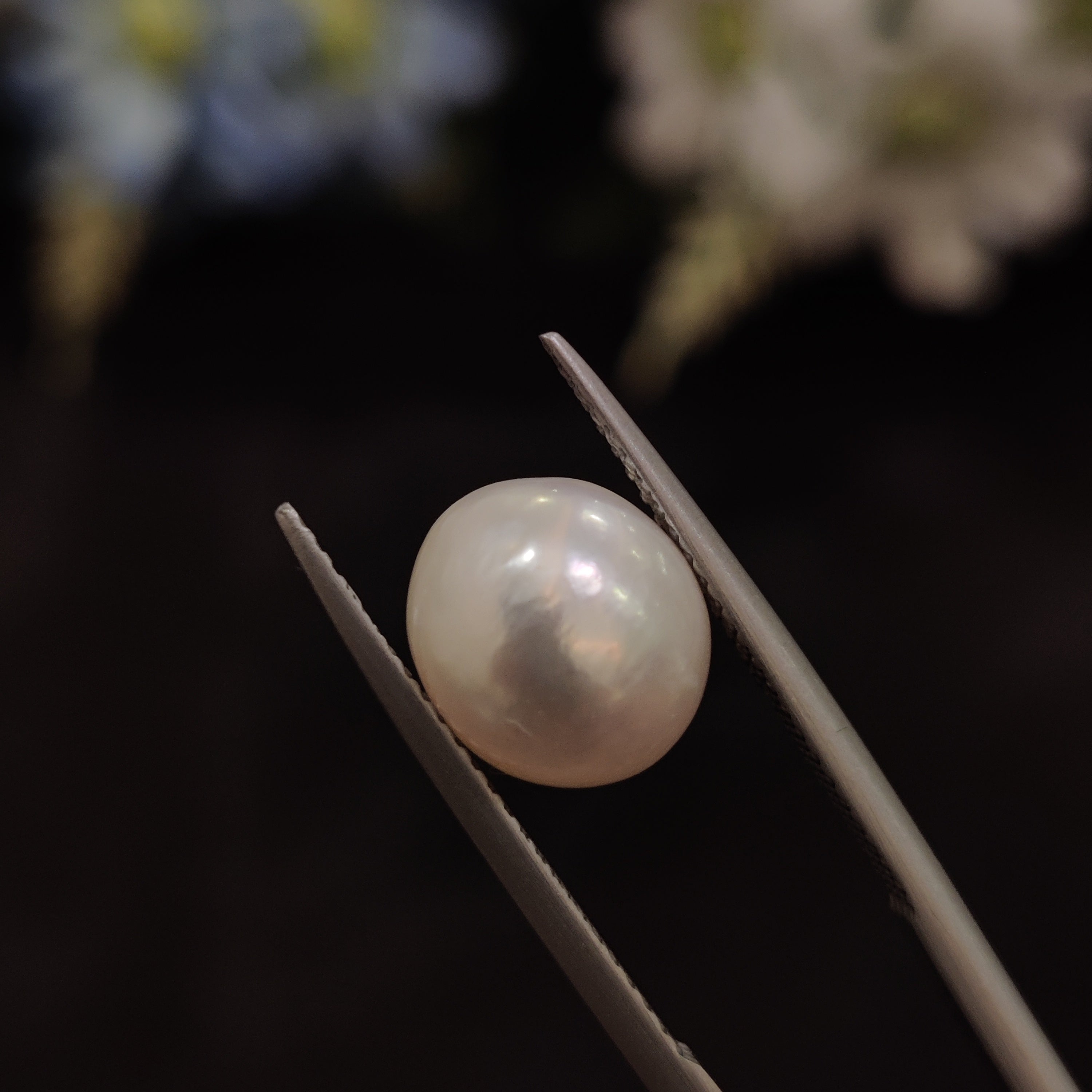 Pearl | Pearl 197 | 5.62 Carat