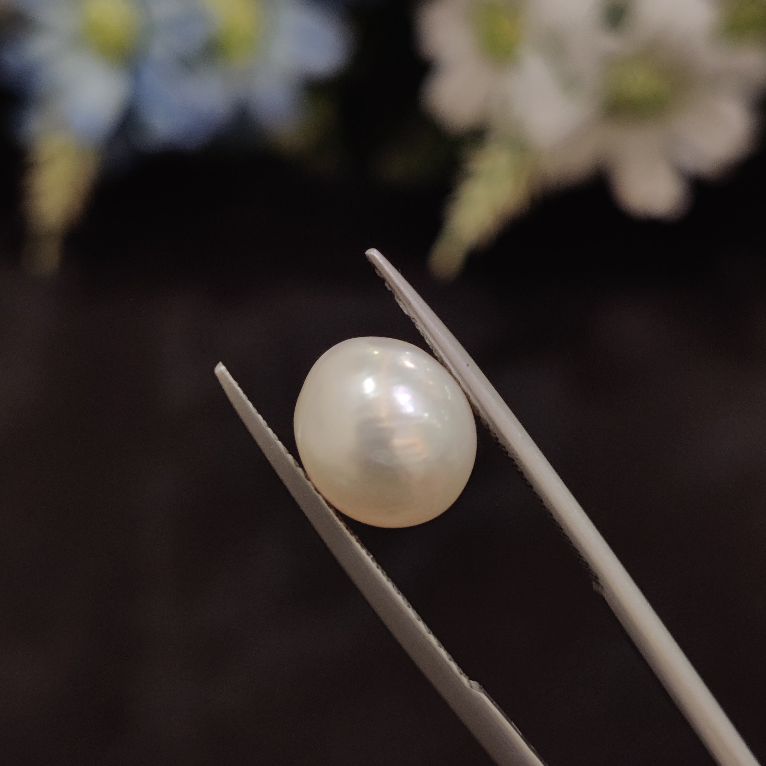 Pearl | Pearl 197 | 5.62 Carat