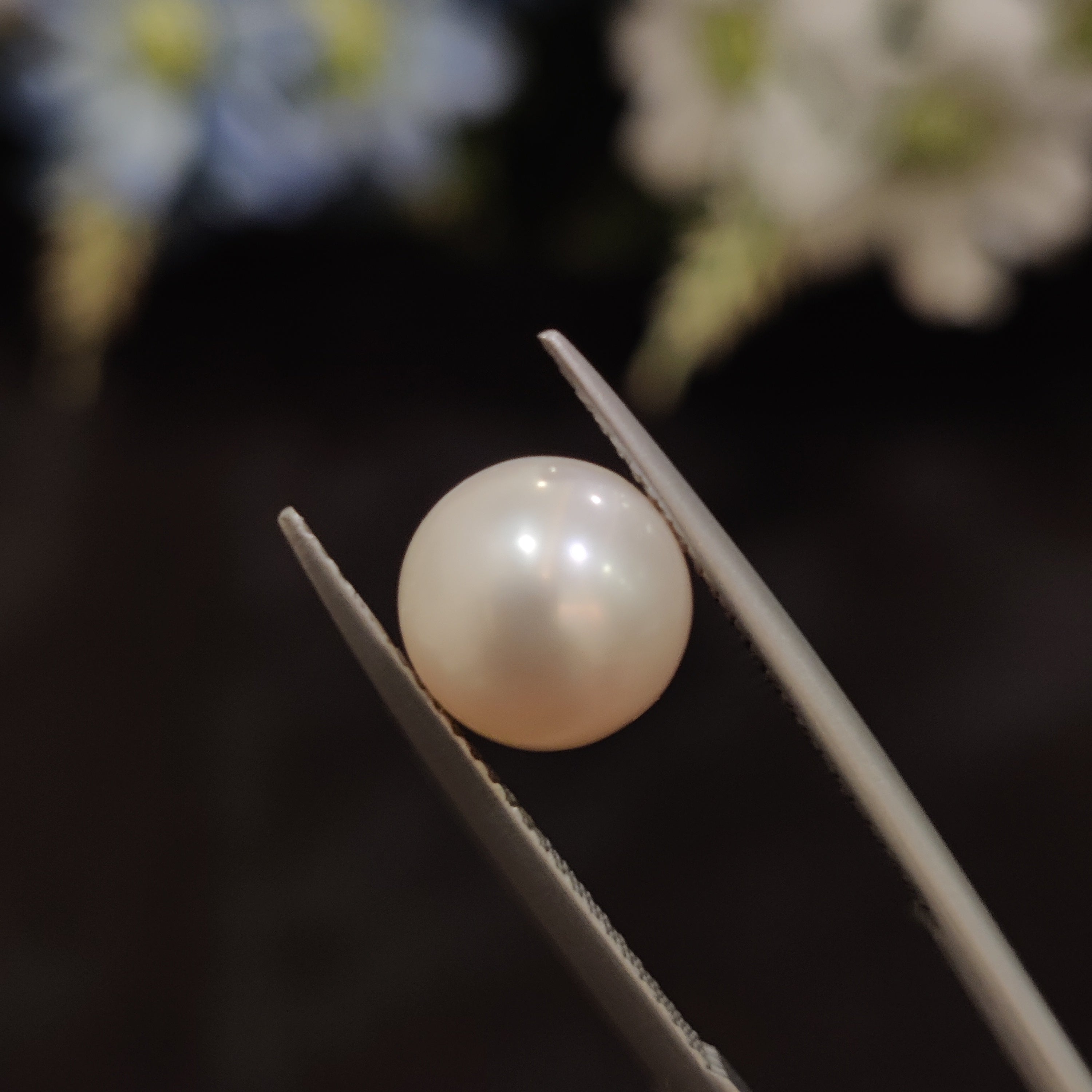 Pearl | Pearl 199 | 4.49 Carat