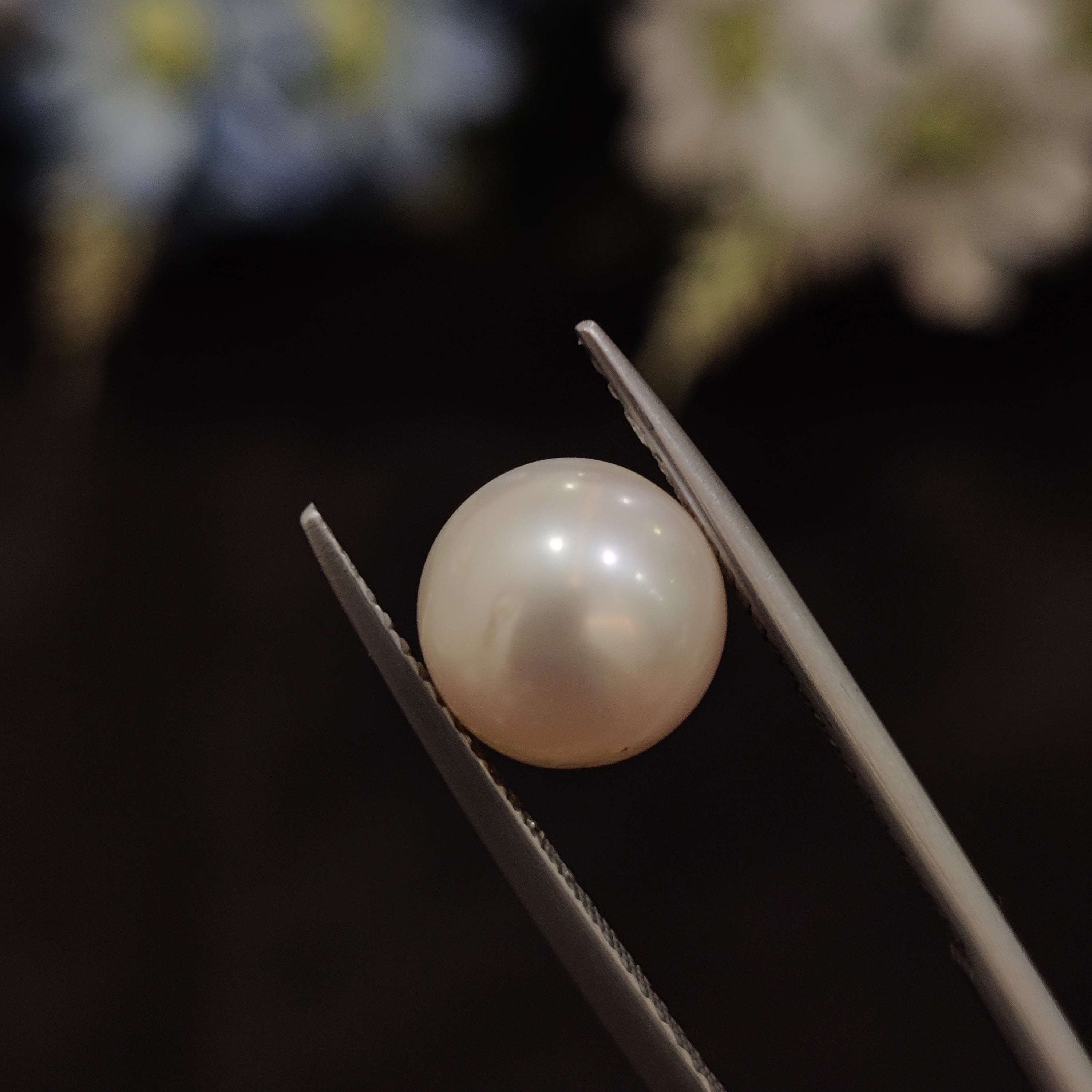 Pearl | Pearl 199 | 4.49 Carat