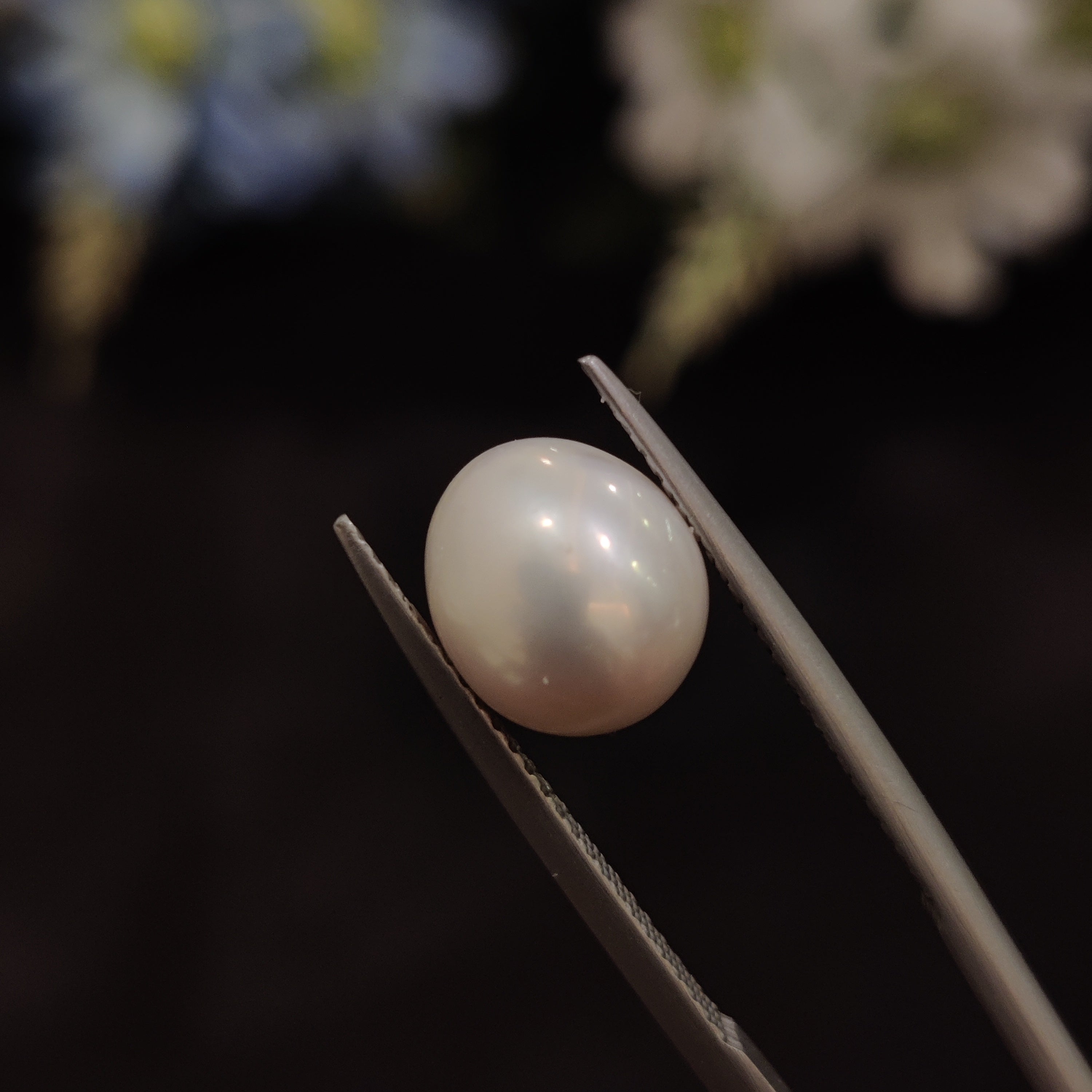 Pearl | Pearl 189 | 4.85 Carat