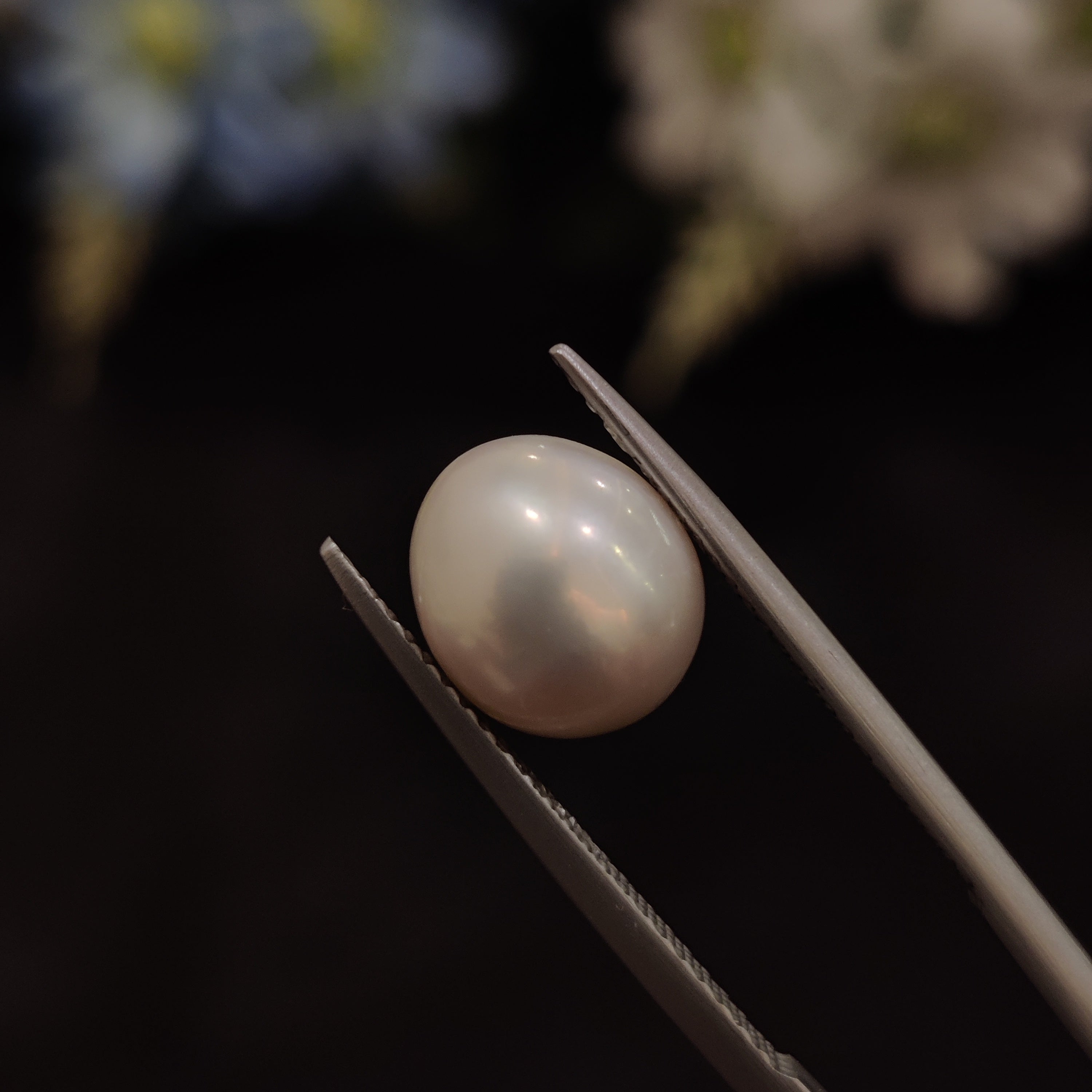 Pearl | Pearl 189 | 4.85 Carat