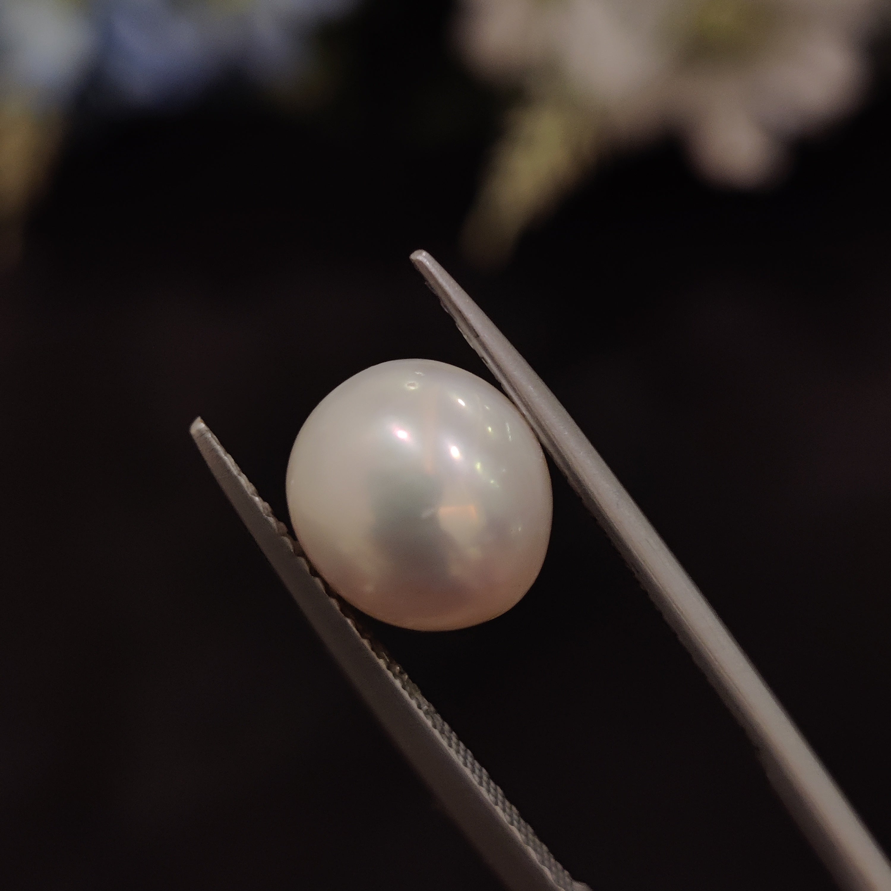 Pearl | Pearl 169 | 5.16 Carat