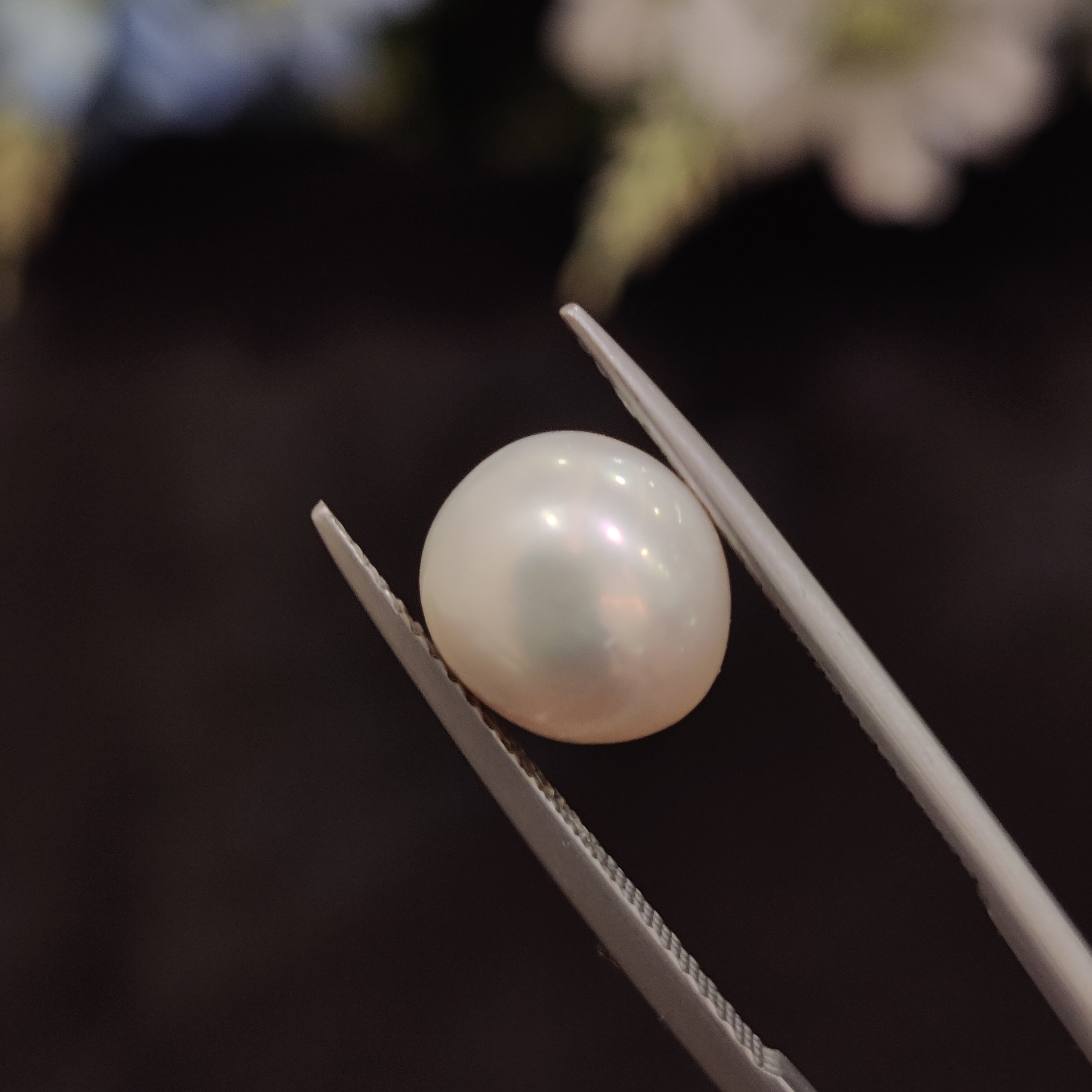 Pearl | Pearl 169 | 5.16 Carat