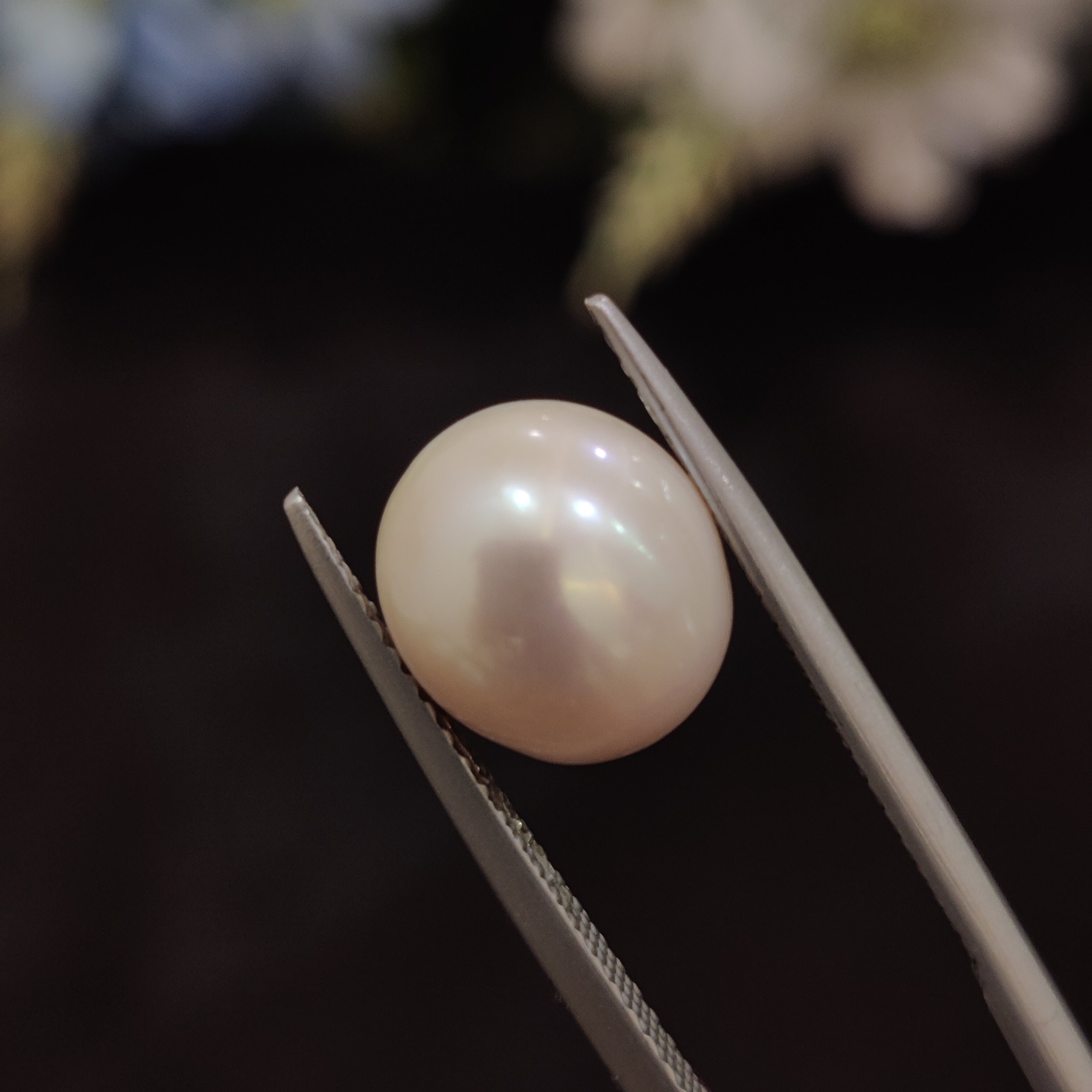 Pearl | Pearl 174 | 5.76 Carat