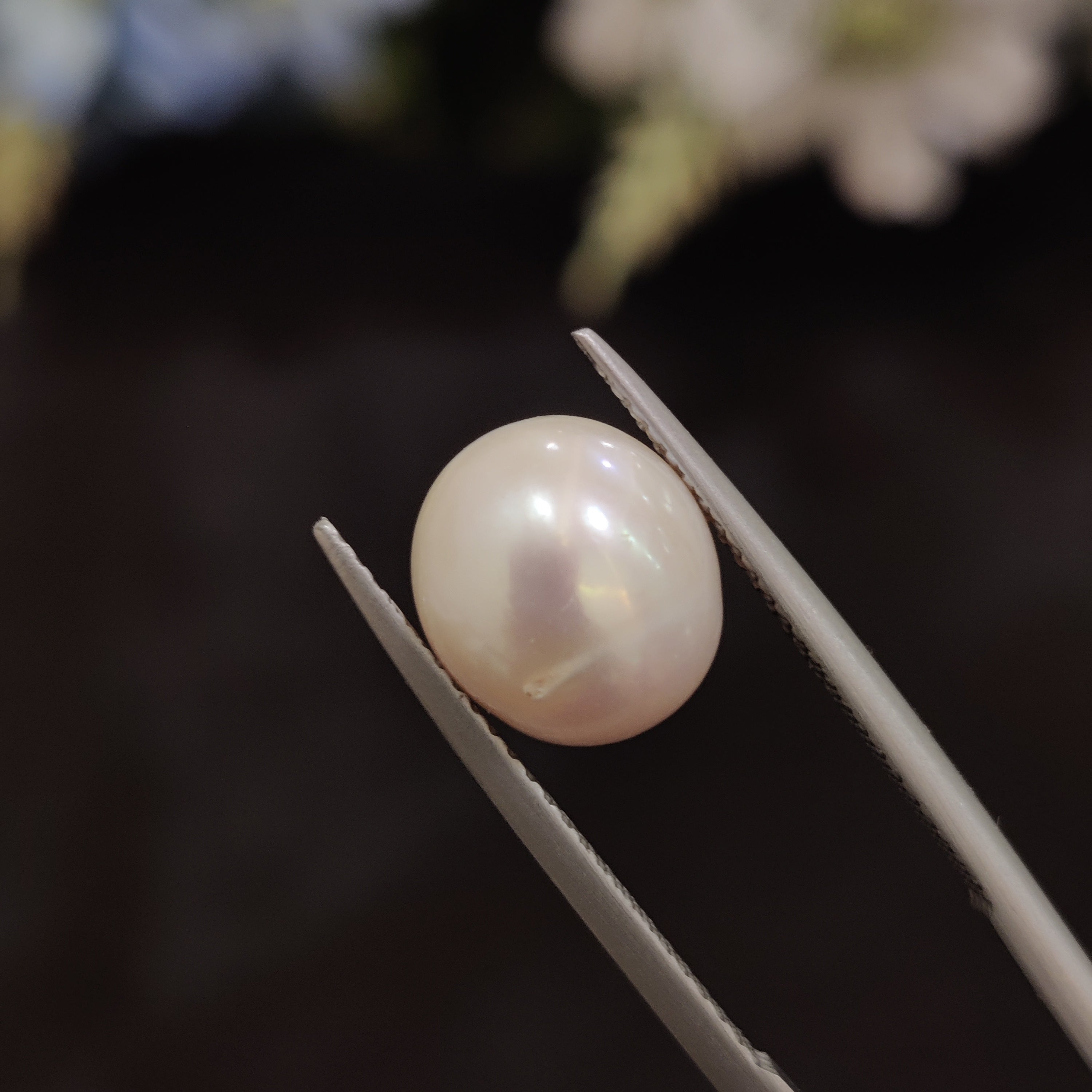 Pearl | Pearl 174 | 5.76 Carat