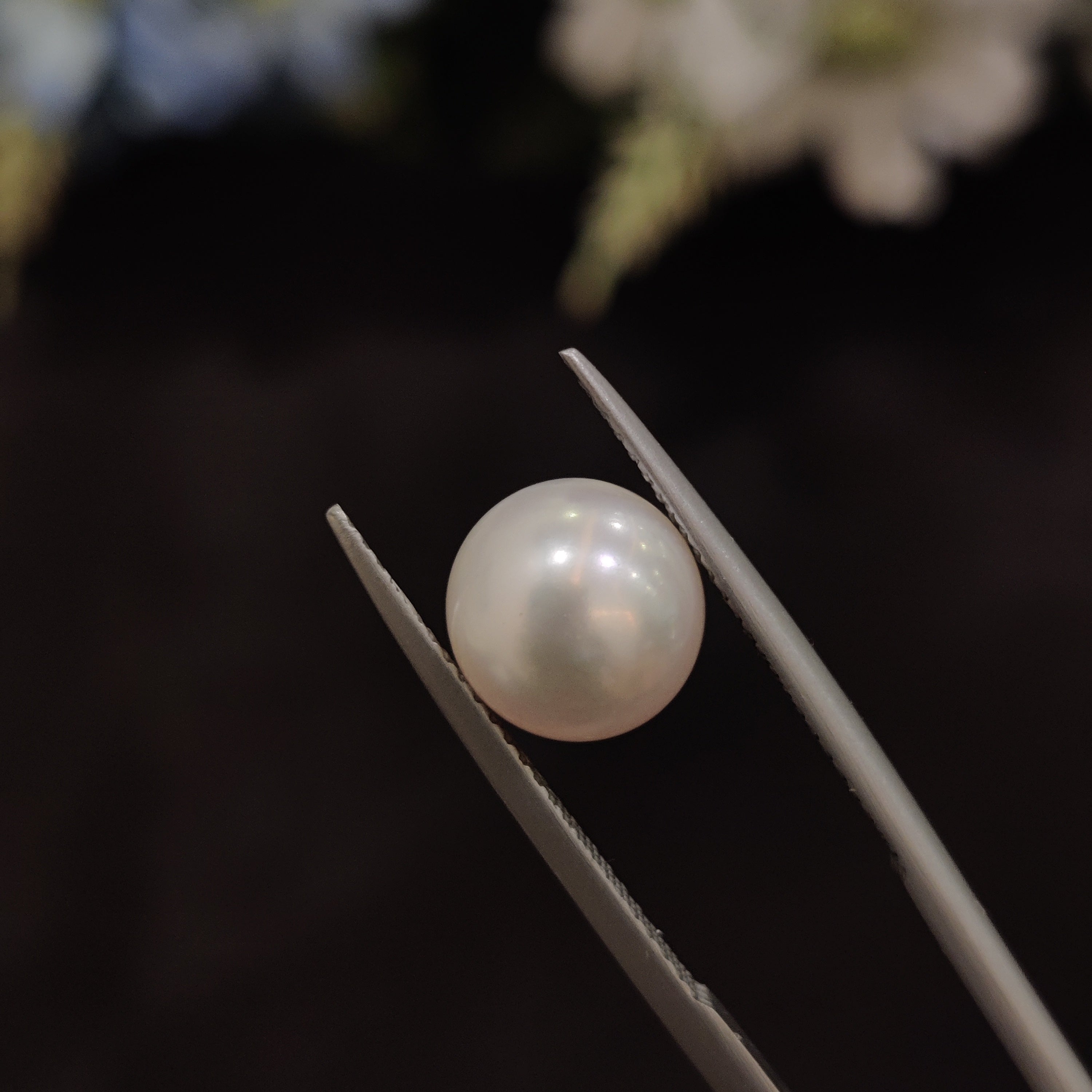 Pearl | Pearl 127 | 5.04 Carat