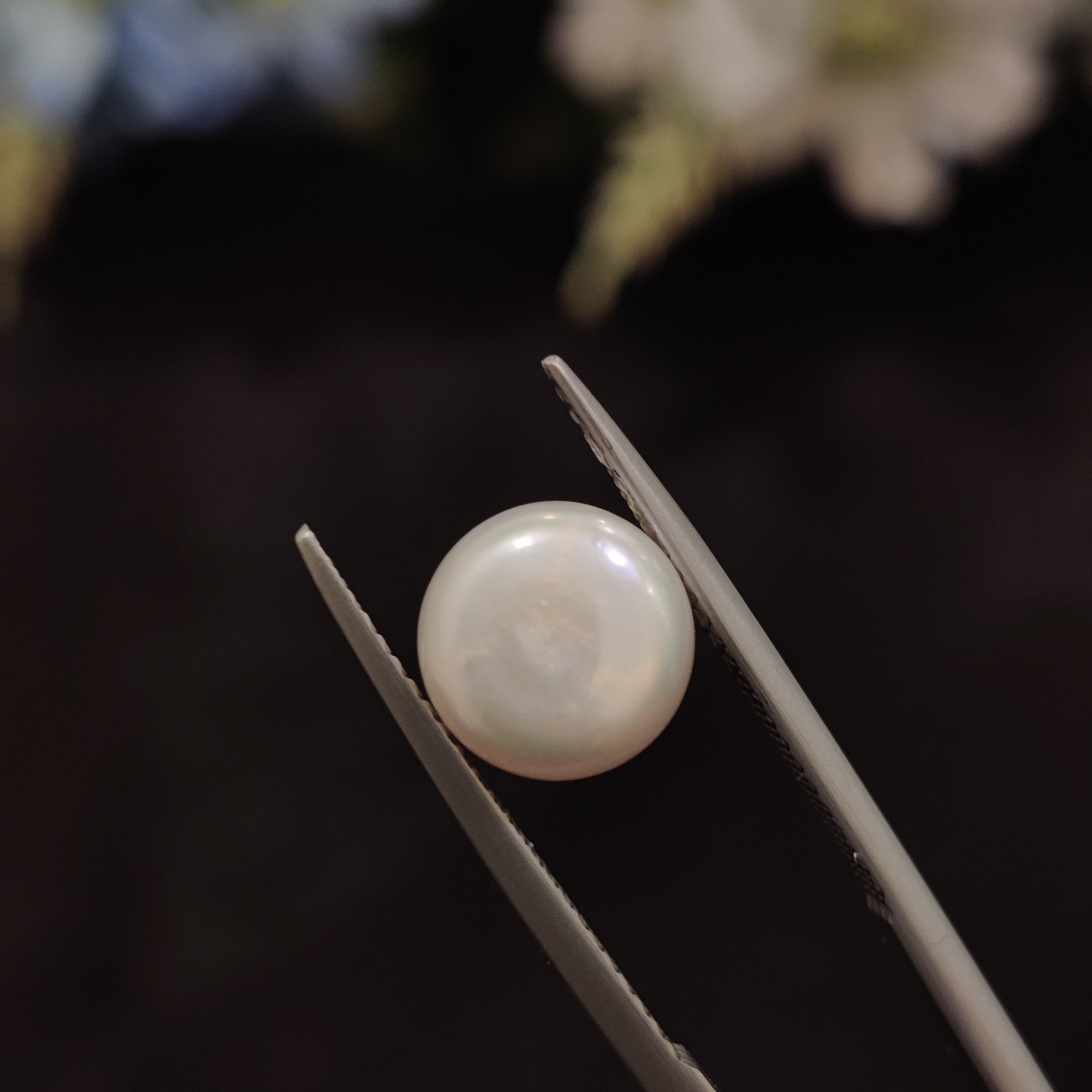 Pearl | Pearl 127 | 5.04 Carat