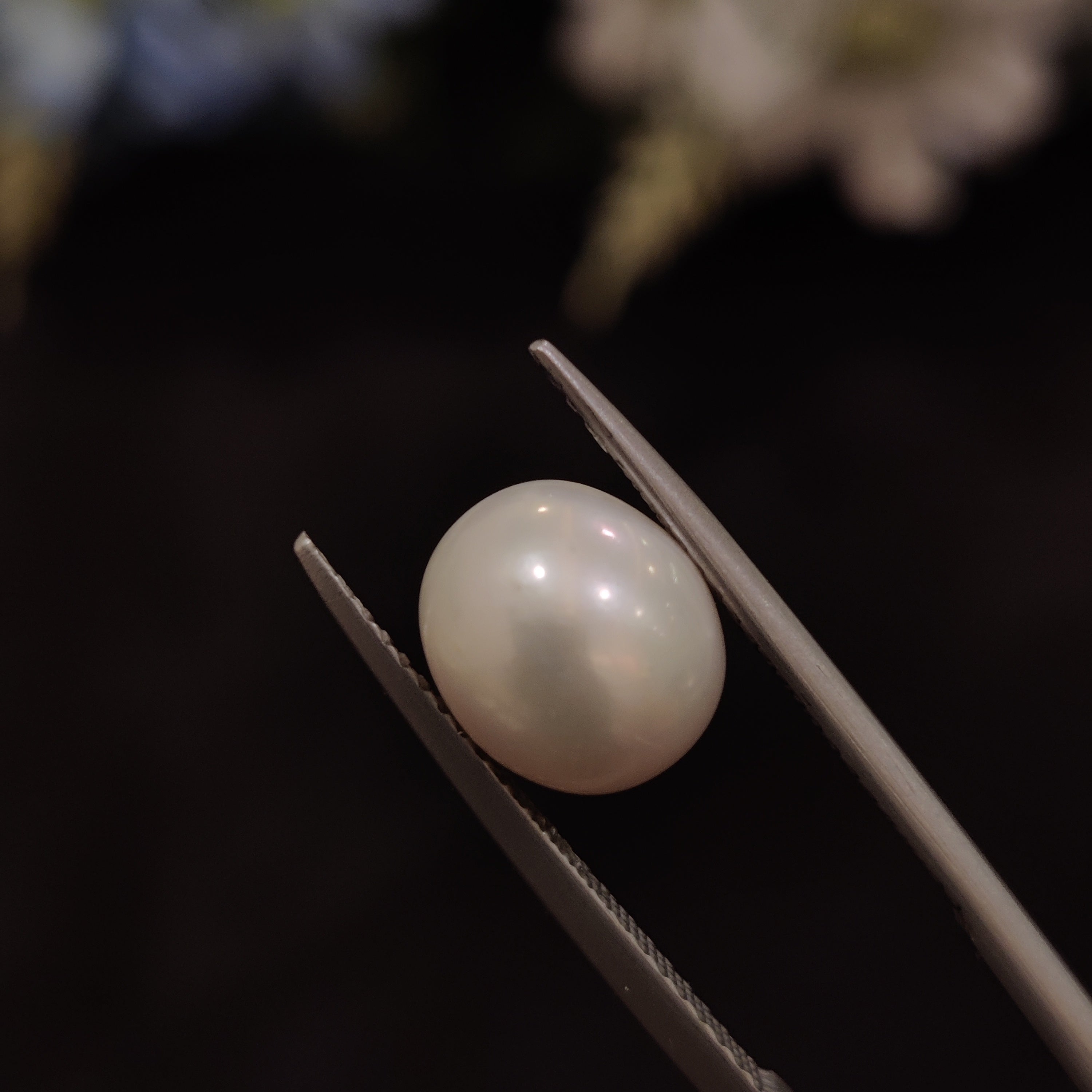Pearl | Pearl 163 | 4.68 Carat
