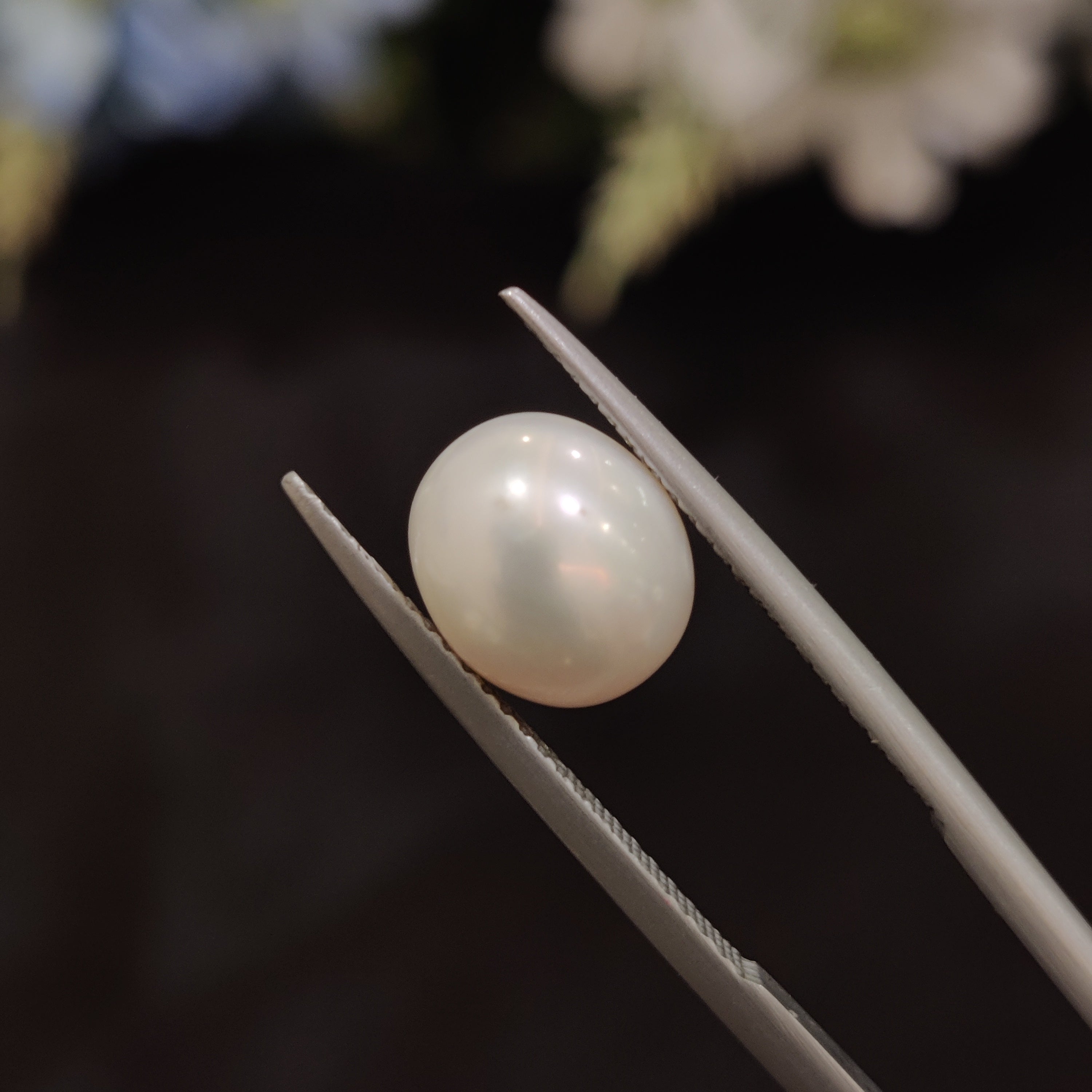Pearl | Pearl 163 | 4.68 Carat