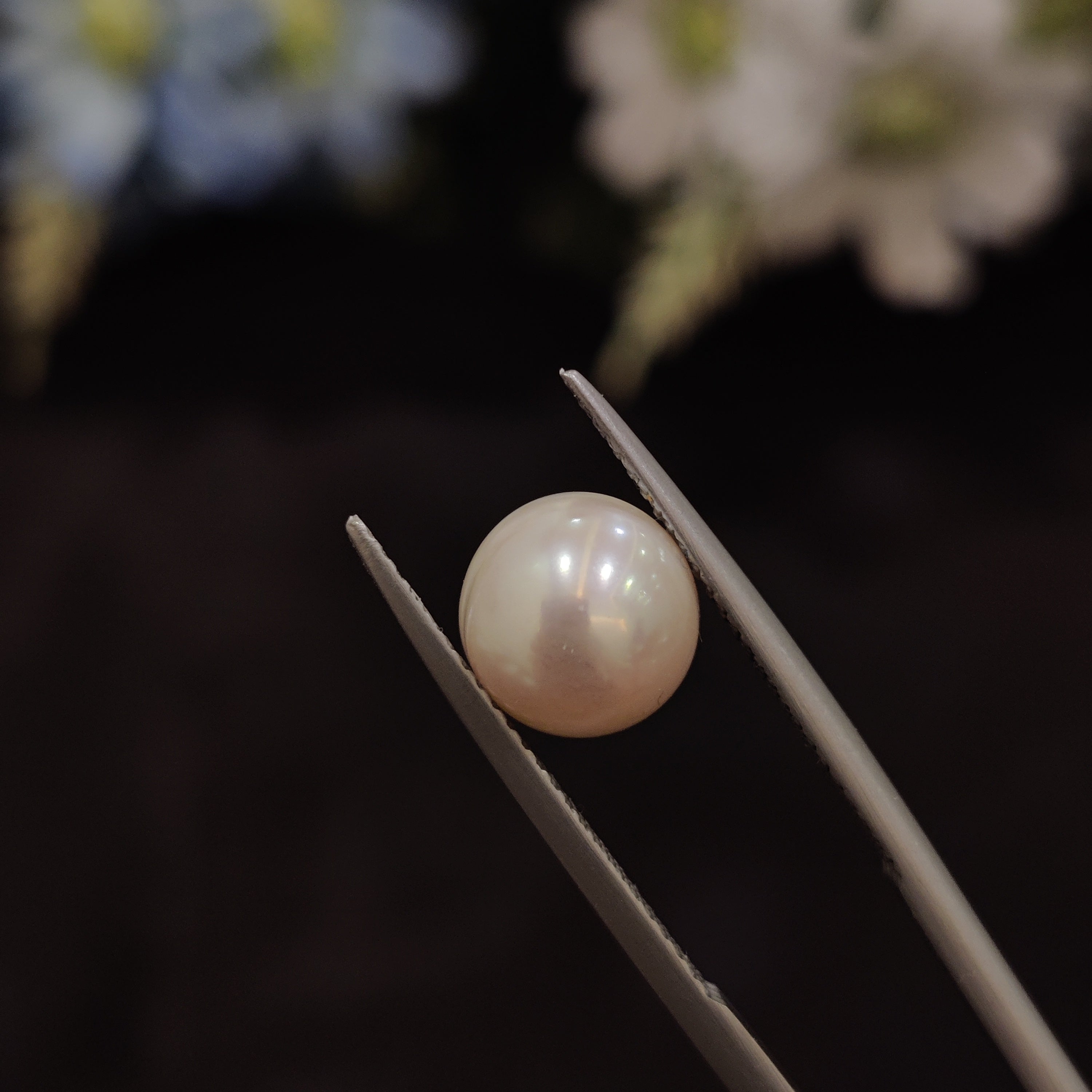 Pearl | Pearl 176 | 4.33 Carat