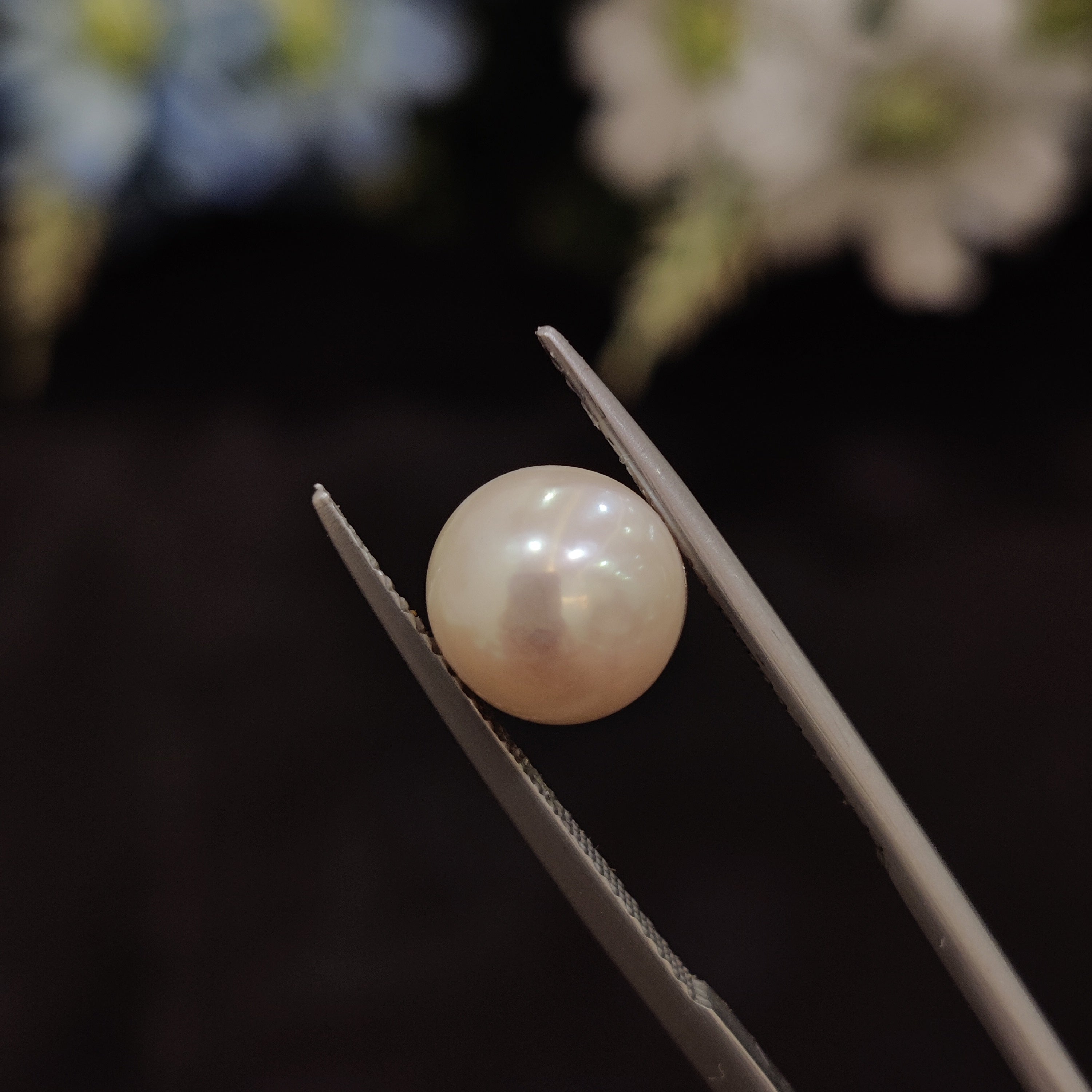 Pearl | Pearl 176 | 4.33 Carat