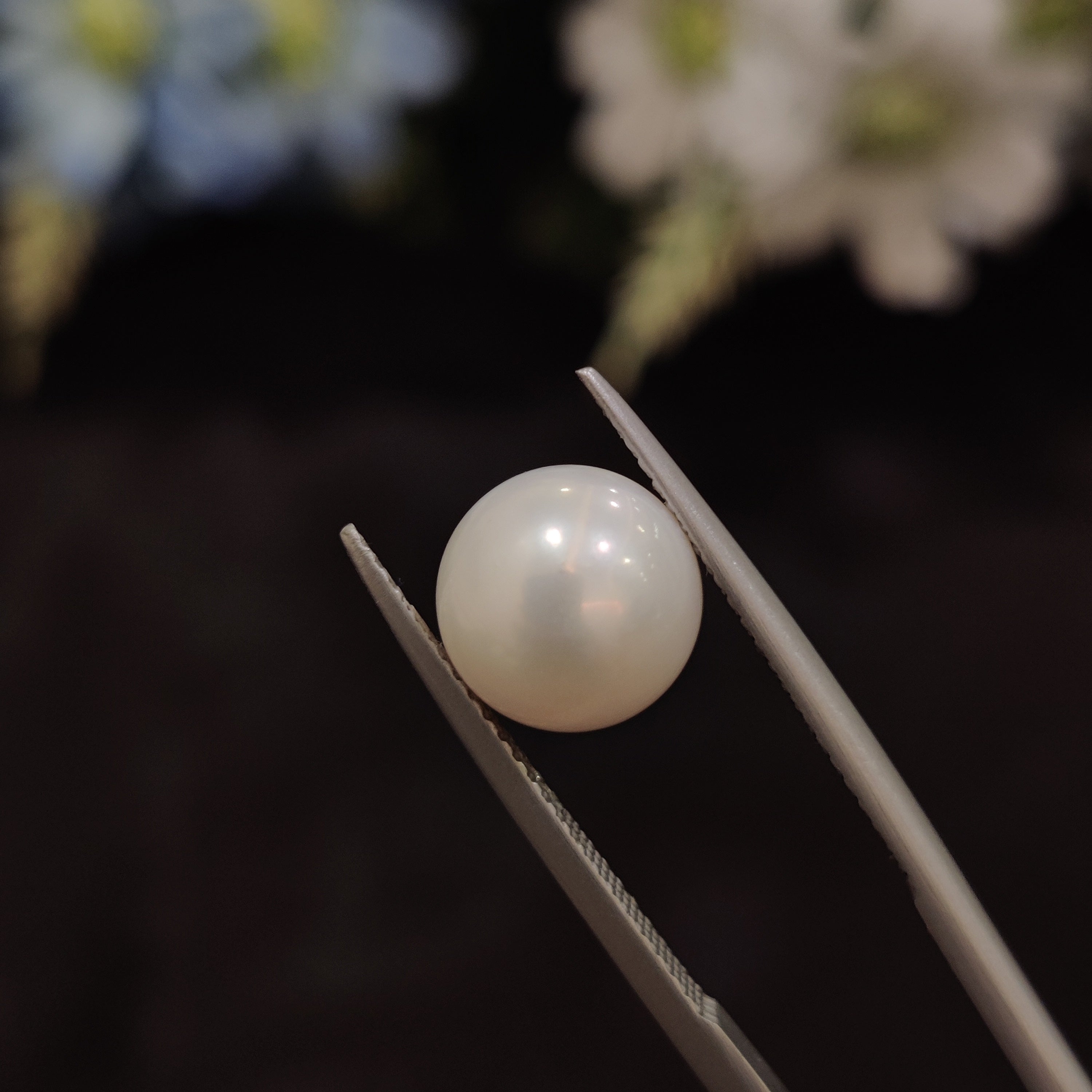 Pearl | Pearl 135 | 5.76 Carat