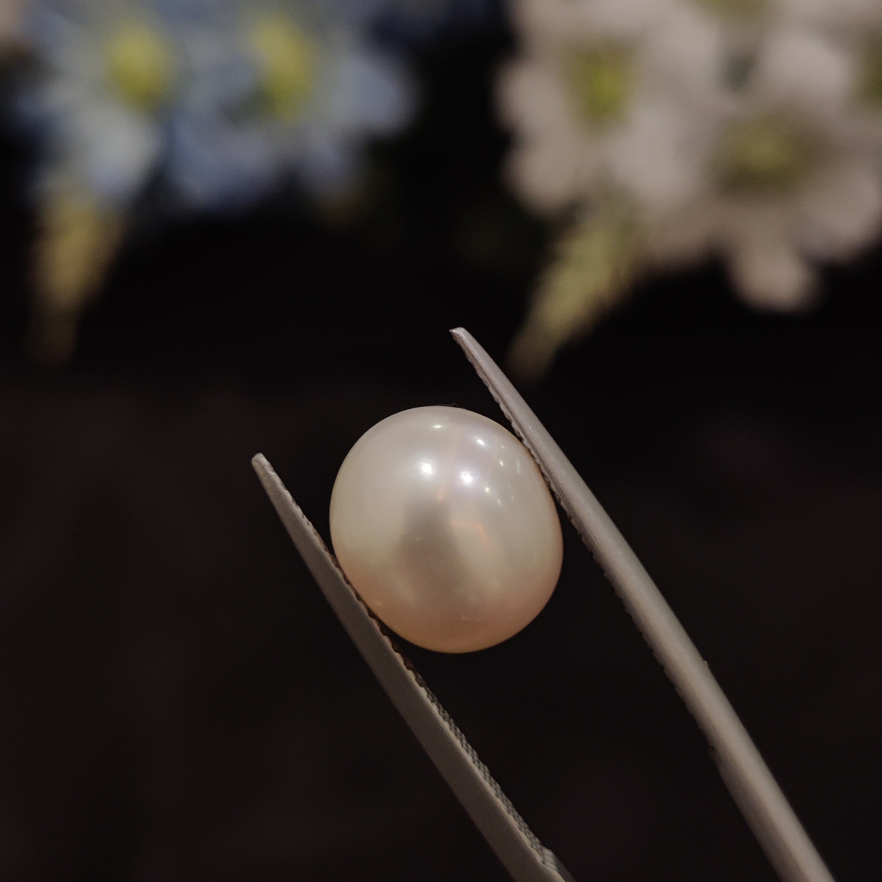 Pearl | Pearl 175 | 6.53 Carat