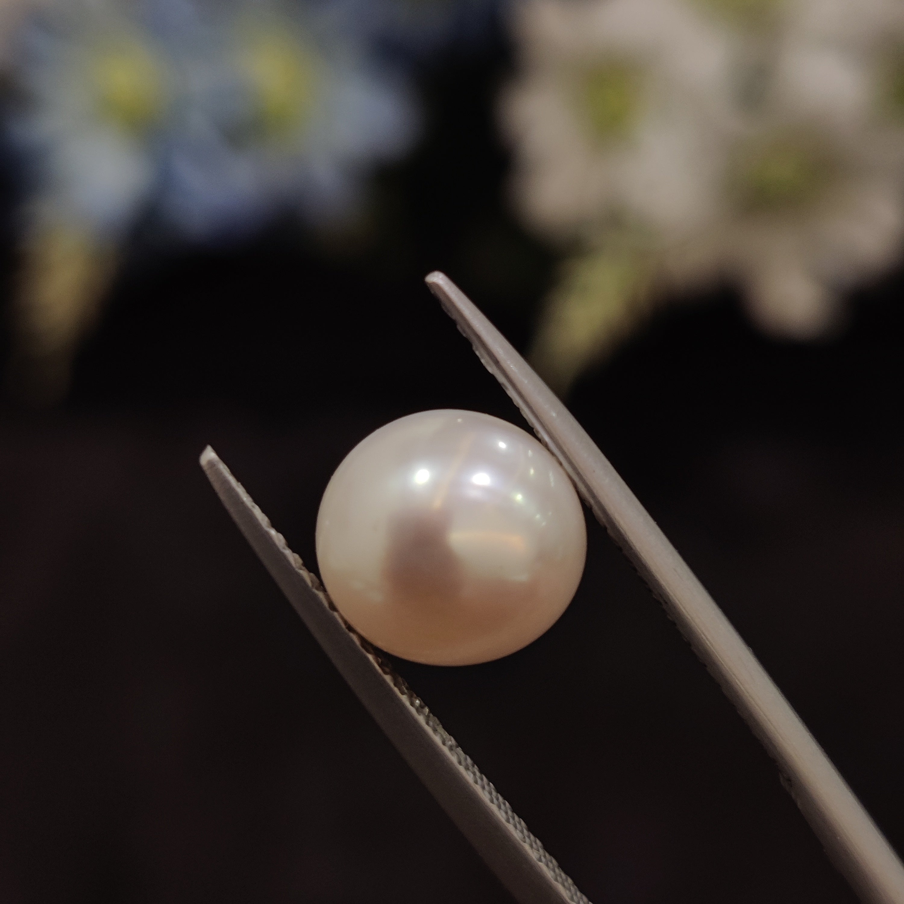 Pearl | Pearl 186 | 4.6 Carat