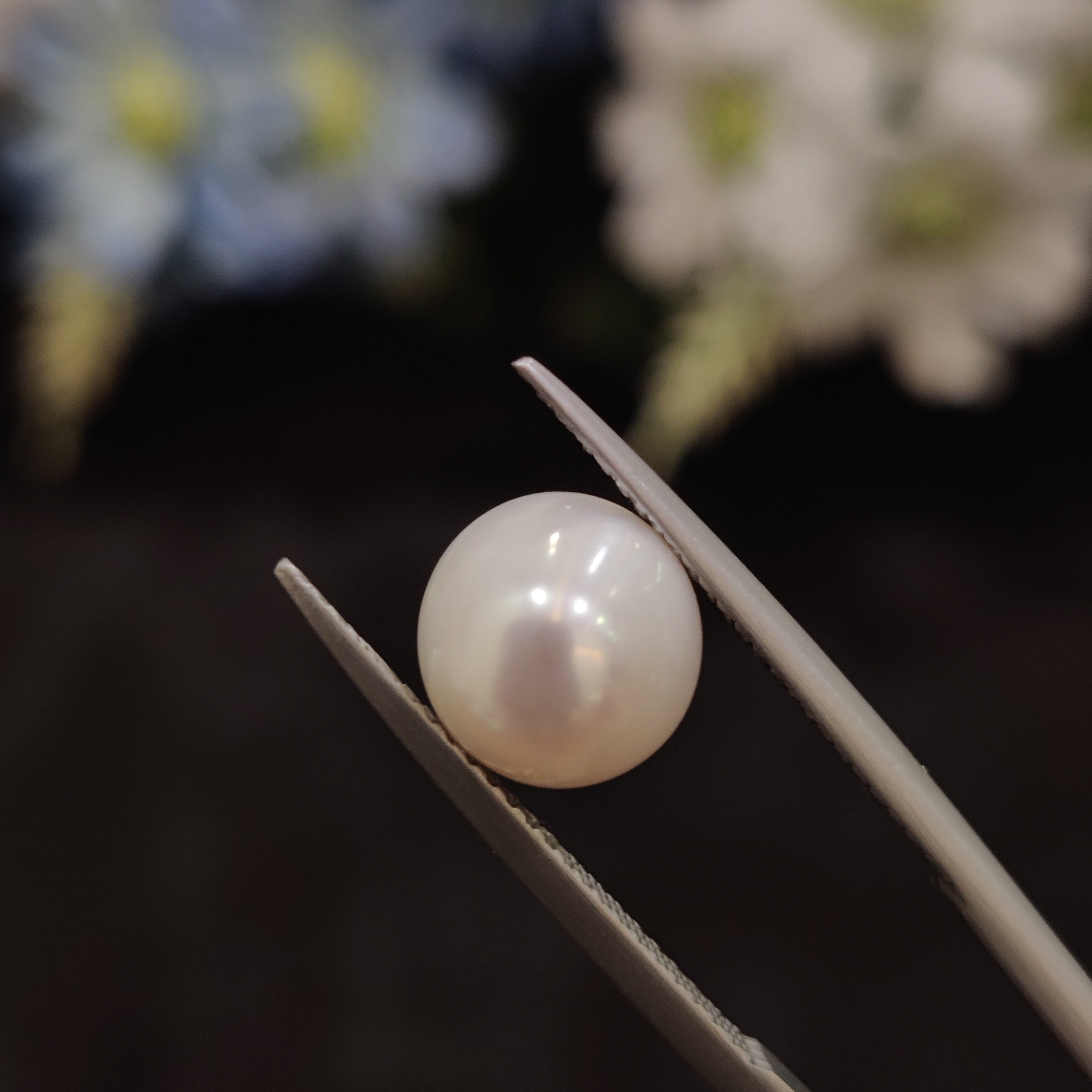 Pearl | Pearl 186 | 4.6 Carat