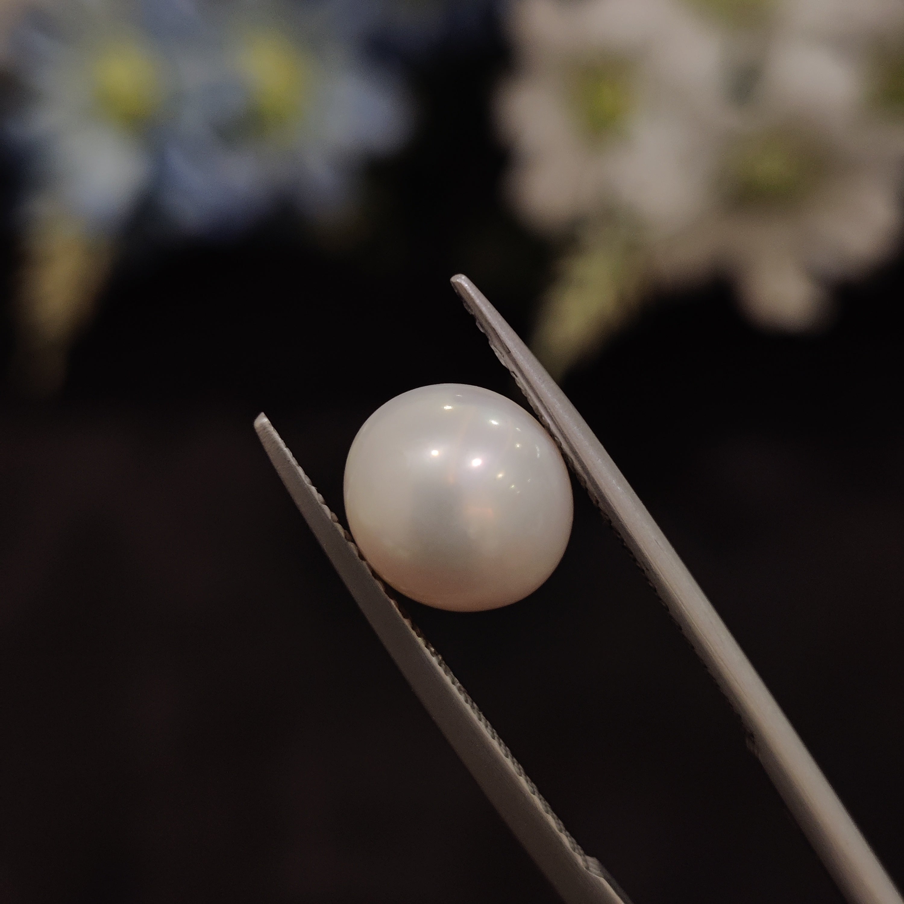 Pearl | Pearl 193 | 4.91 Carat