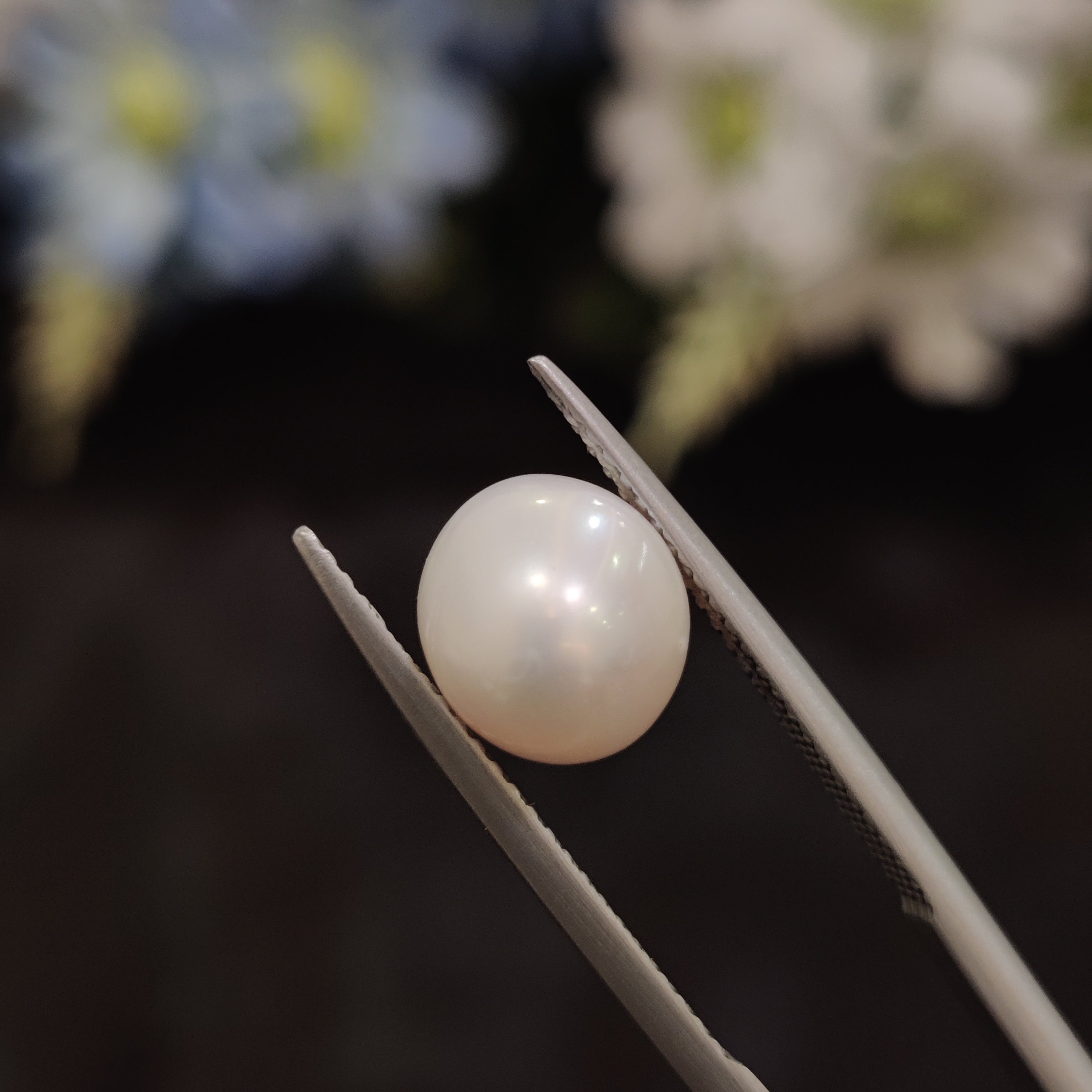 Pearl | Pearl 193 | 4.91 Carat