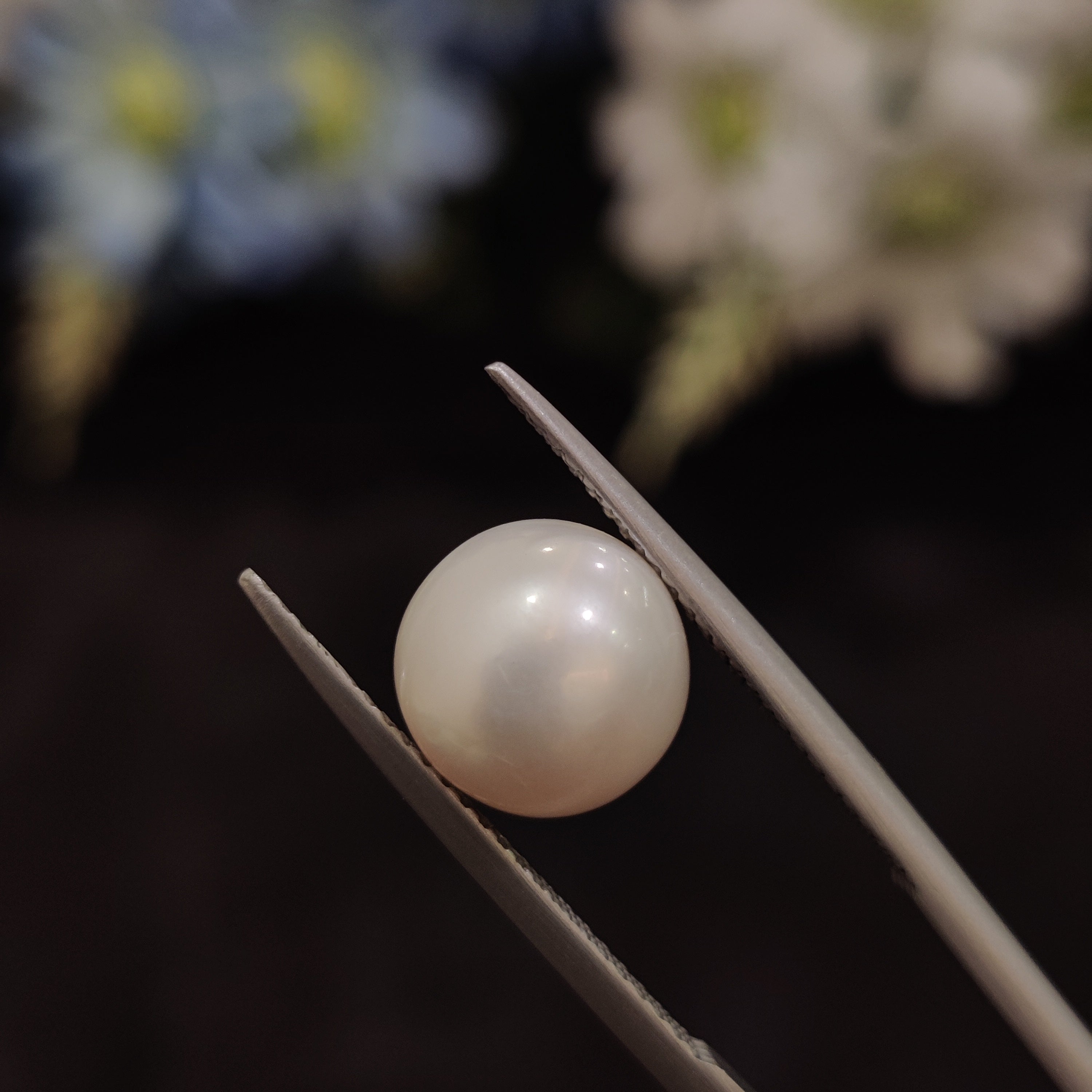 Pearl | Pearl 158 | 4.96 Carat