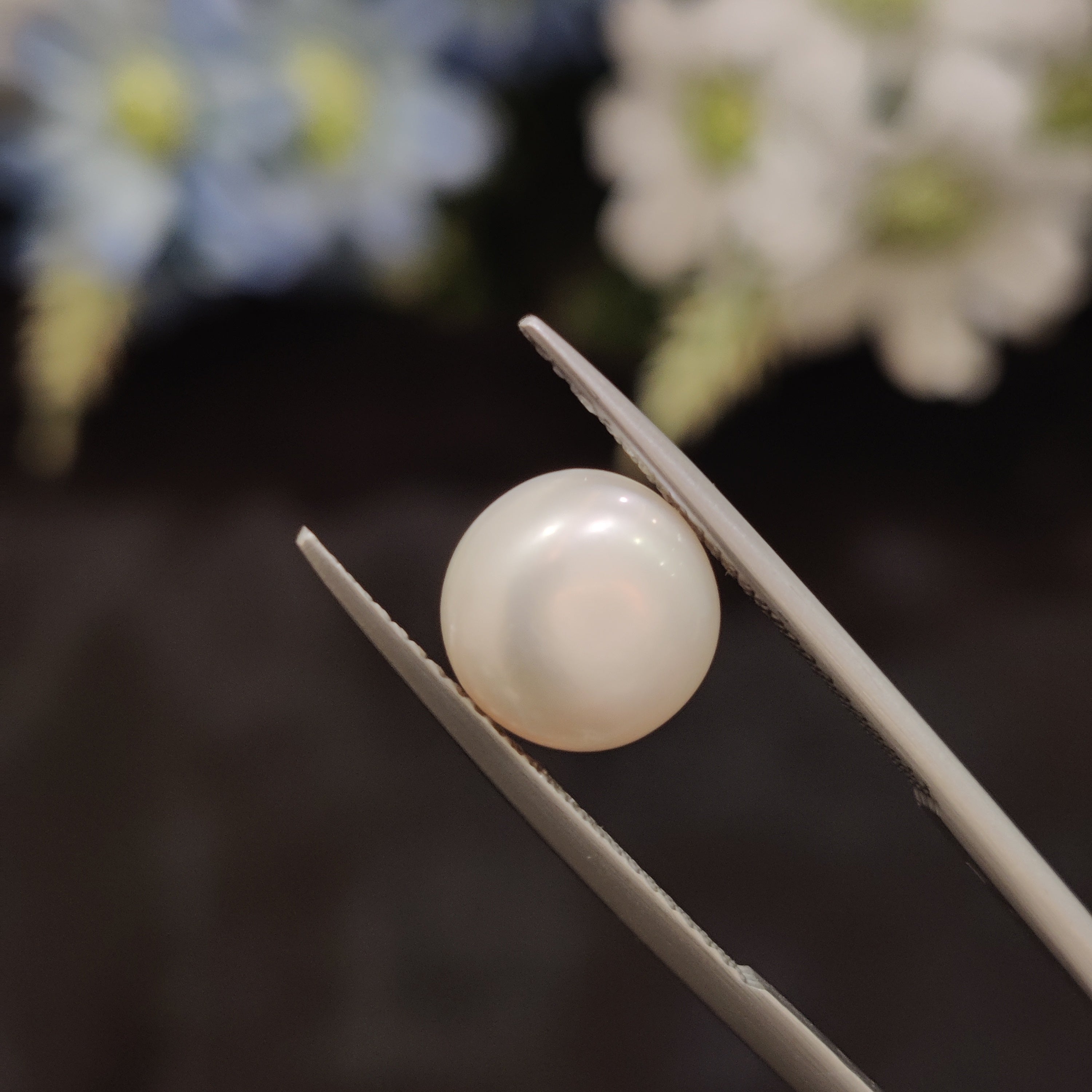Pearl | Pearl 158 | 4.96 Carat