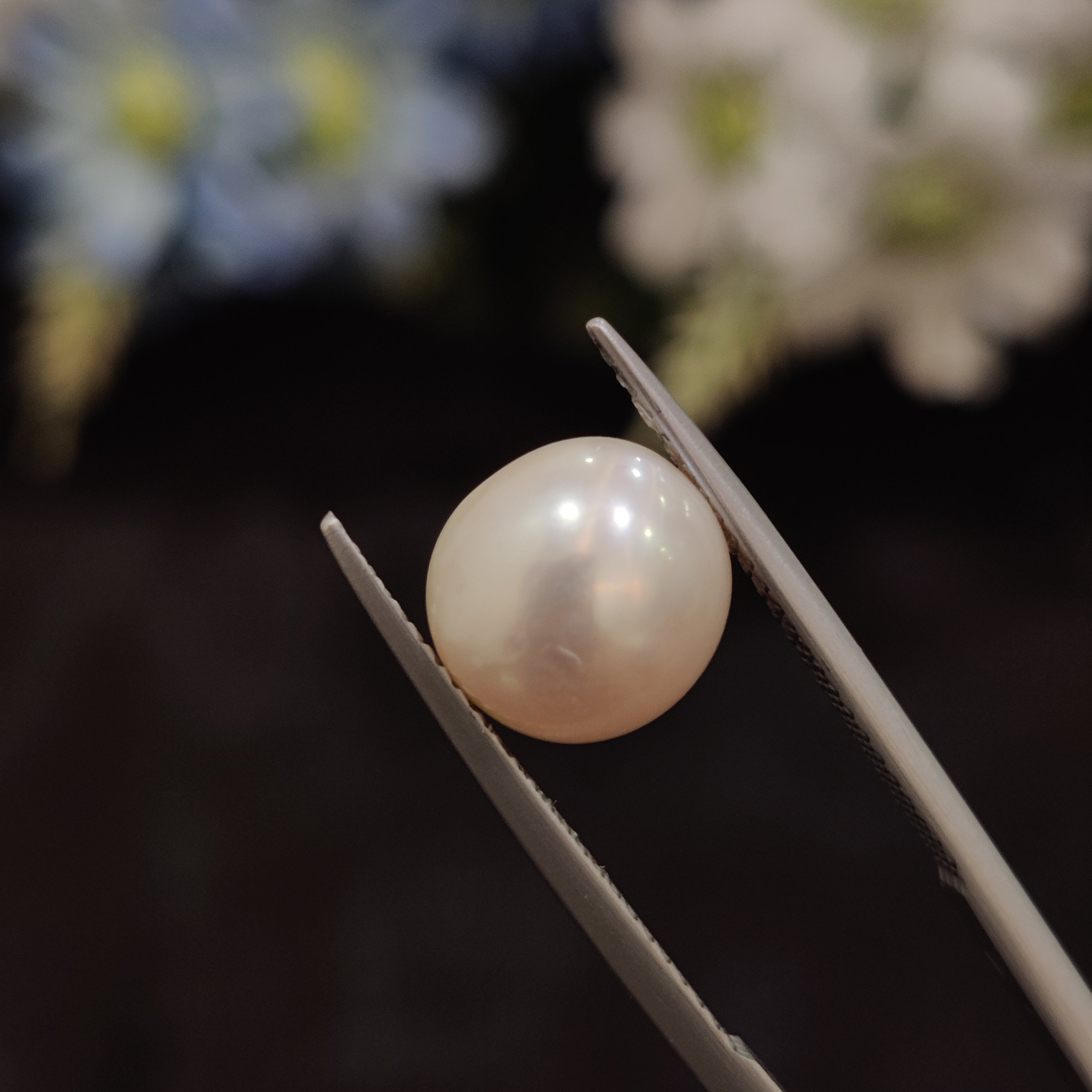 Pearl | Pearl 162 | 5.01 Carat